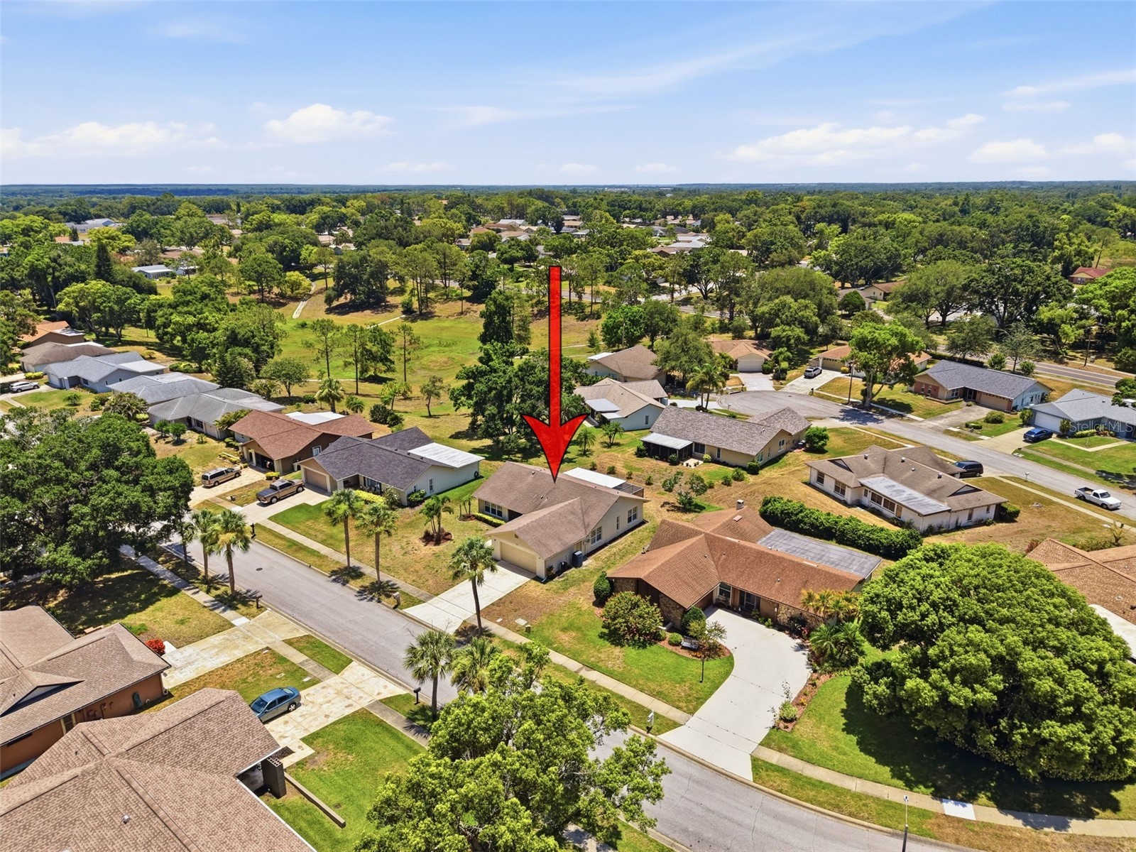 3068 E Dorchester Drive Palm Harbor FL 34684 W7887179 image49