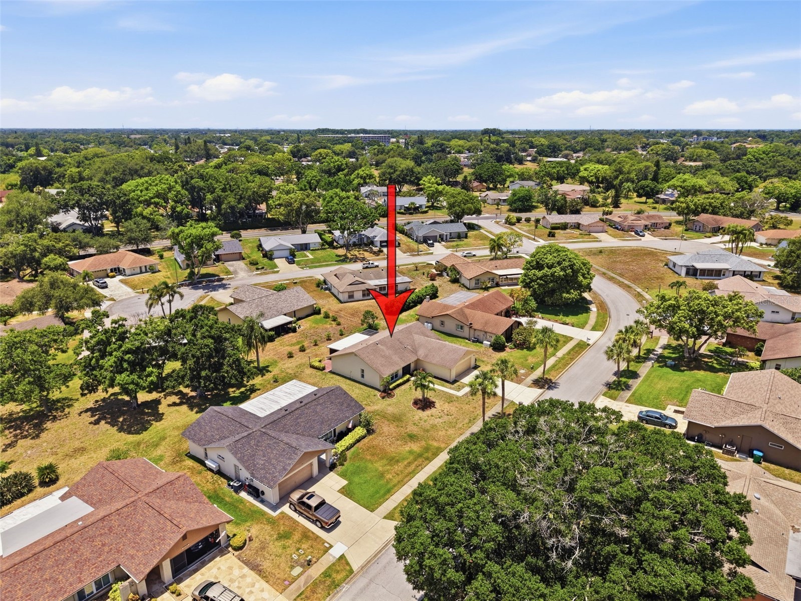 3068 E Dorchester Drive Palm Harbor FL 34684 W7887179 image50