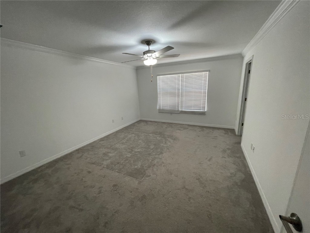 30681 Veridian Way Wesley Chapel FL 33543 TB8454501 image35