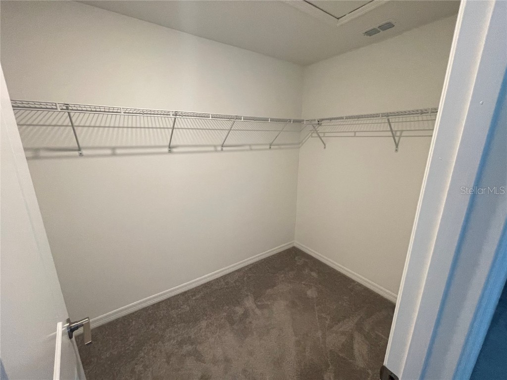 30681 Veridian Way Wesley Chapel FL 33543 TB8454501 image36