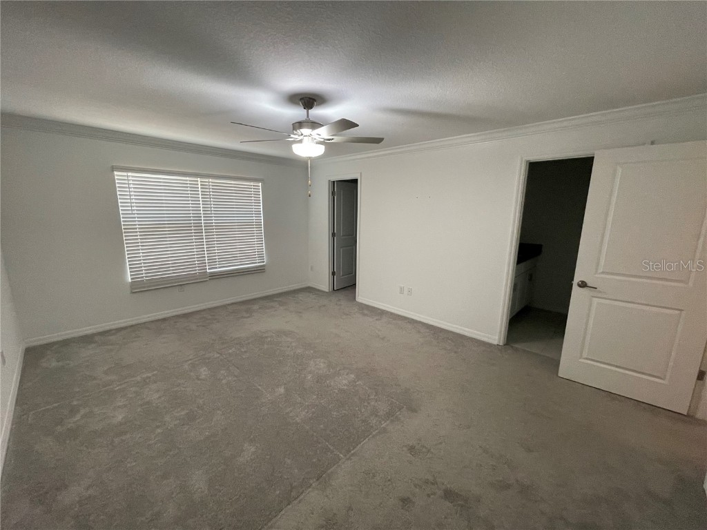 30681 Veridian Way Wesley Chapel FL 33543 TB8454501 image38