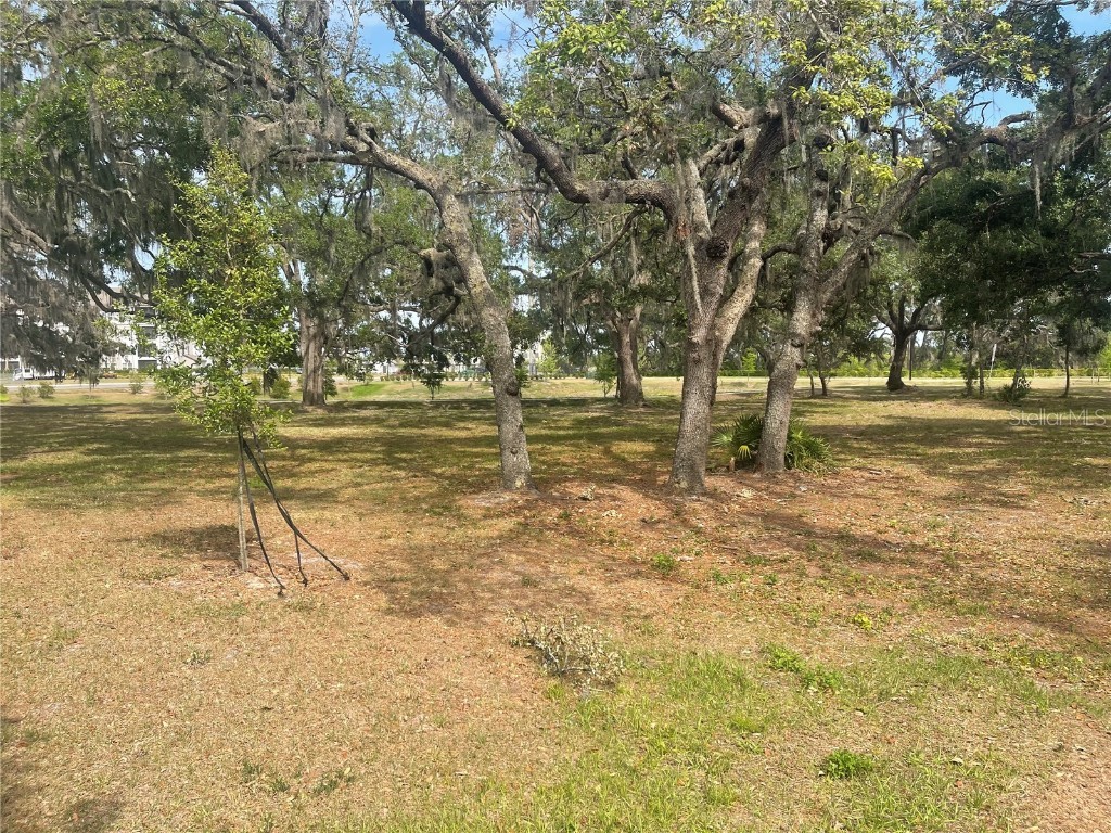 30681 Veridian Way Wesley Chapel FL 33543 TB8454501 image5