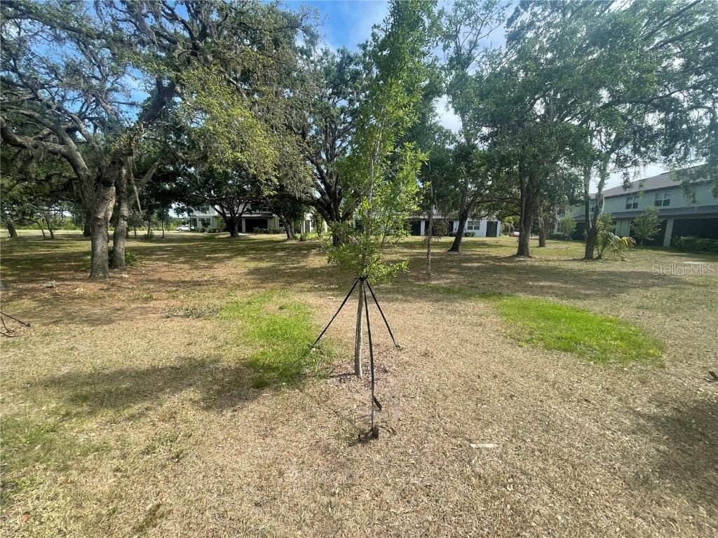 30681 Veridian Way Wesley Chapel FL 33543 TB8454501 image7