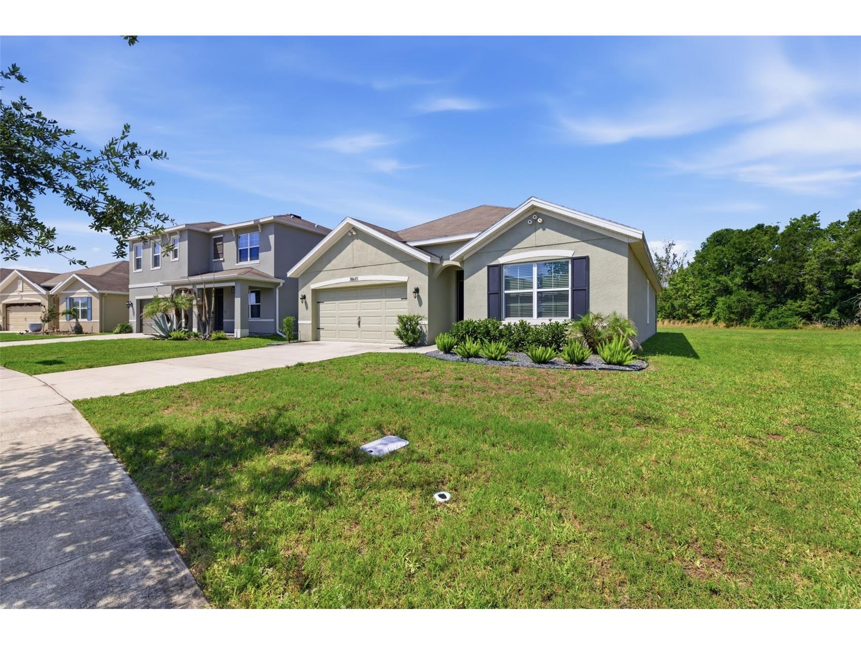 30685 Summer Sun Loop Wesley Chapel FL 33545 TB8510269 image3