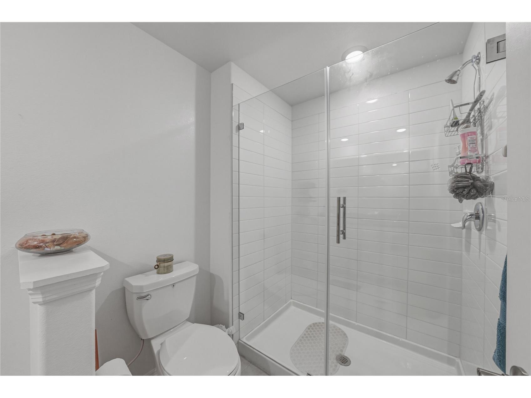 30688 Veridian Way Wesley Chapel FL 33543 TB8494051 image28