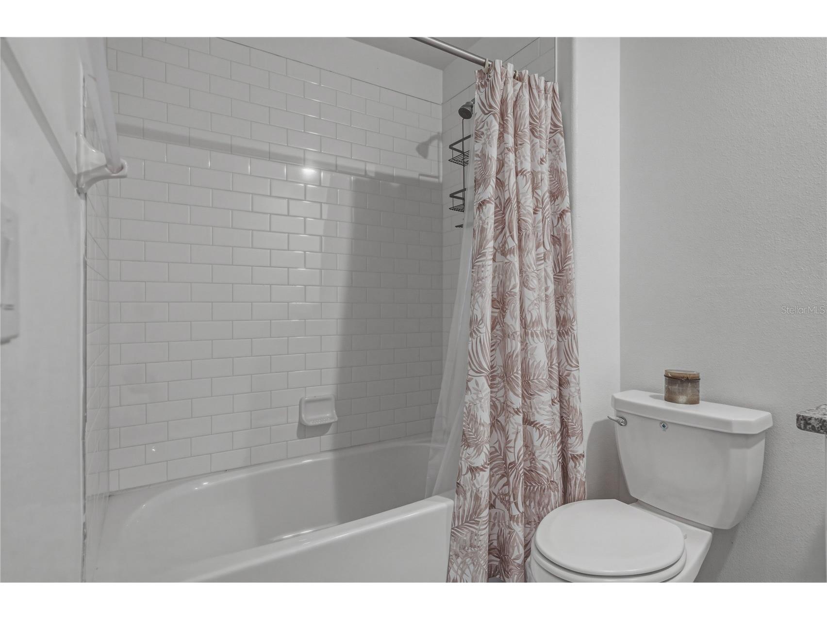 30688 Veridian Way Wesley Chapel FL 33543 TB8494051 image38