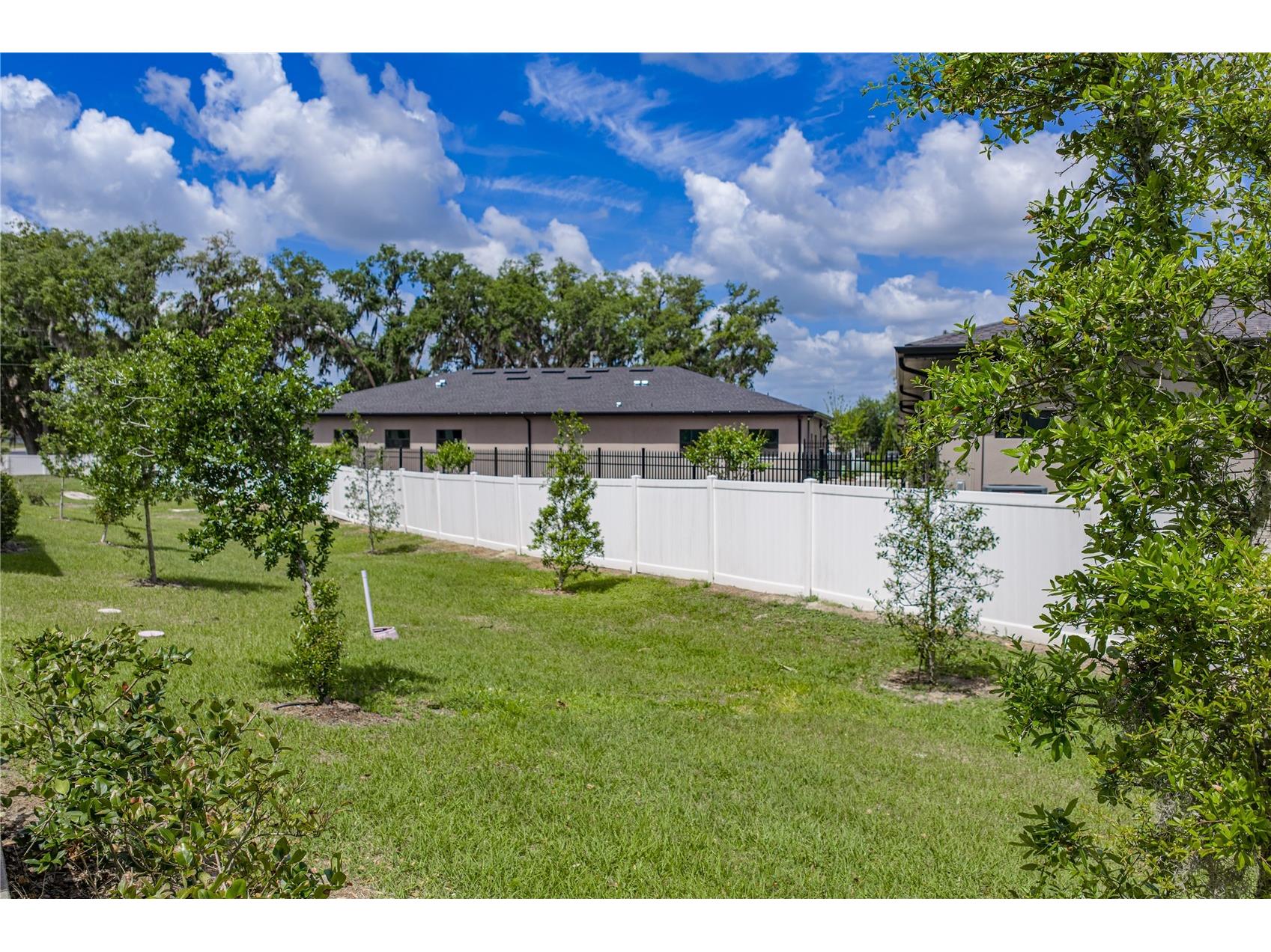 30688 Veridian Way Wesley Chapel FL 33543 TB8494051 image50