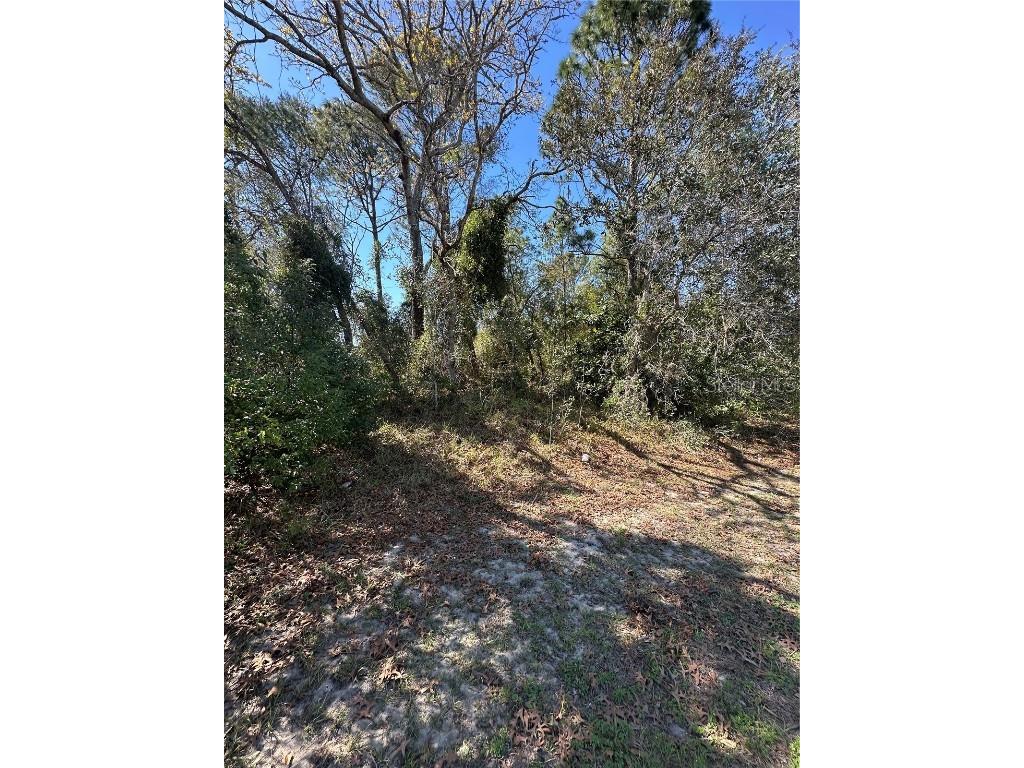 3069 Amherst Avenue Spring Hill FL 34609 TB8360982 image1