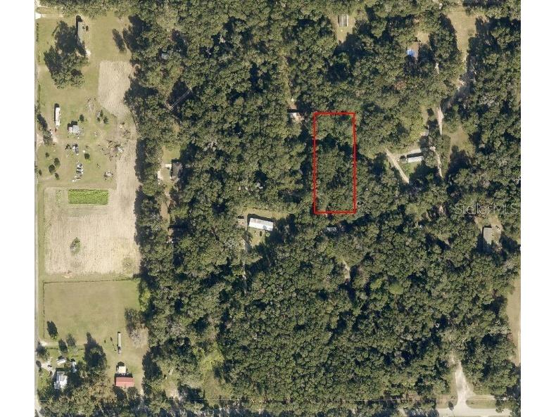 3069 NW 151st Place Reddick FL 32686 OM726743 image1