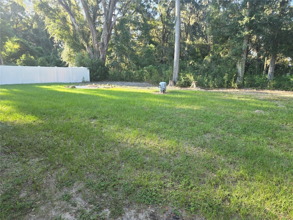 3069 SE 140th Place Summerfield FL 34491 OM709479 image8