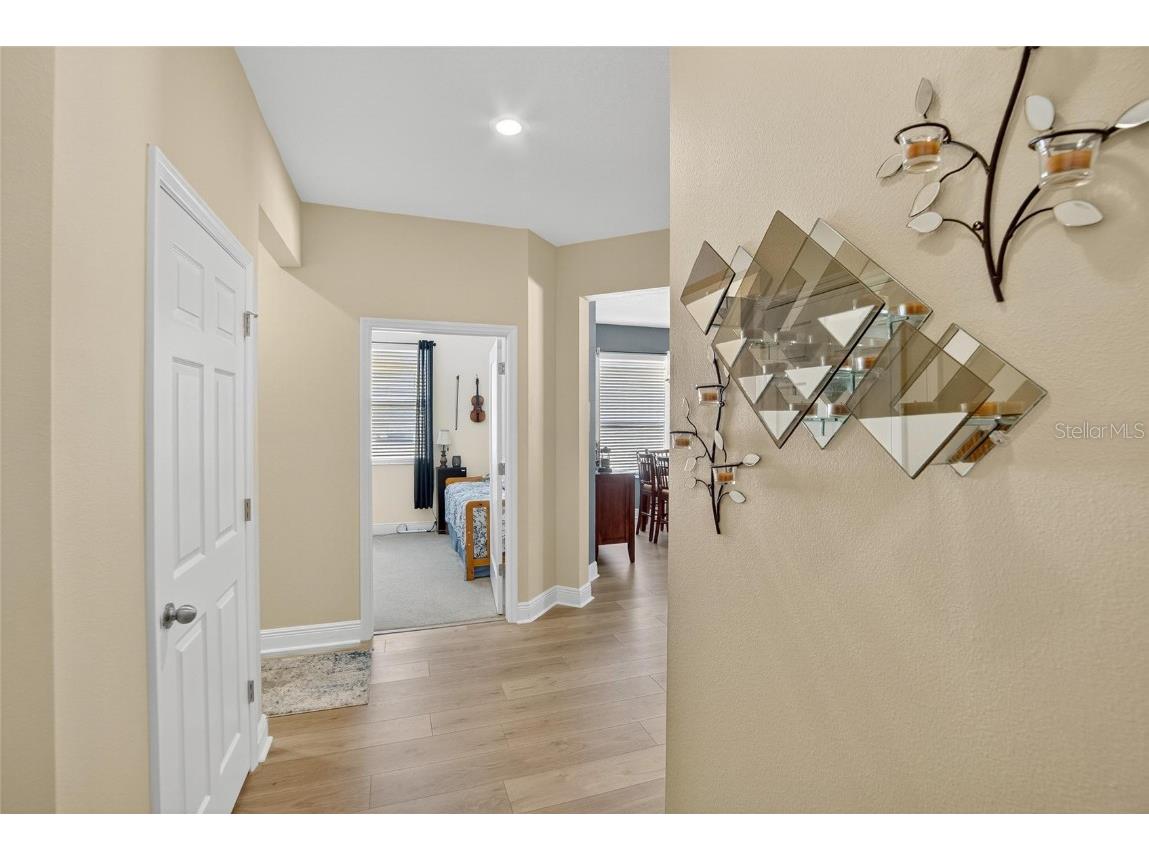 307 Bluewater Falls Court Apollo Beach FL 33572 TB8432955 image10