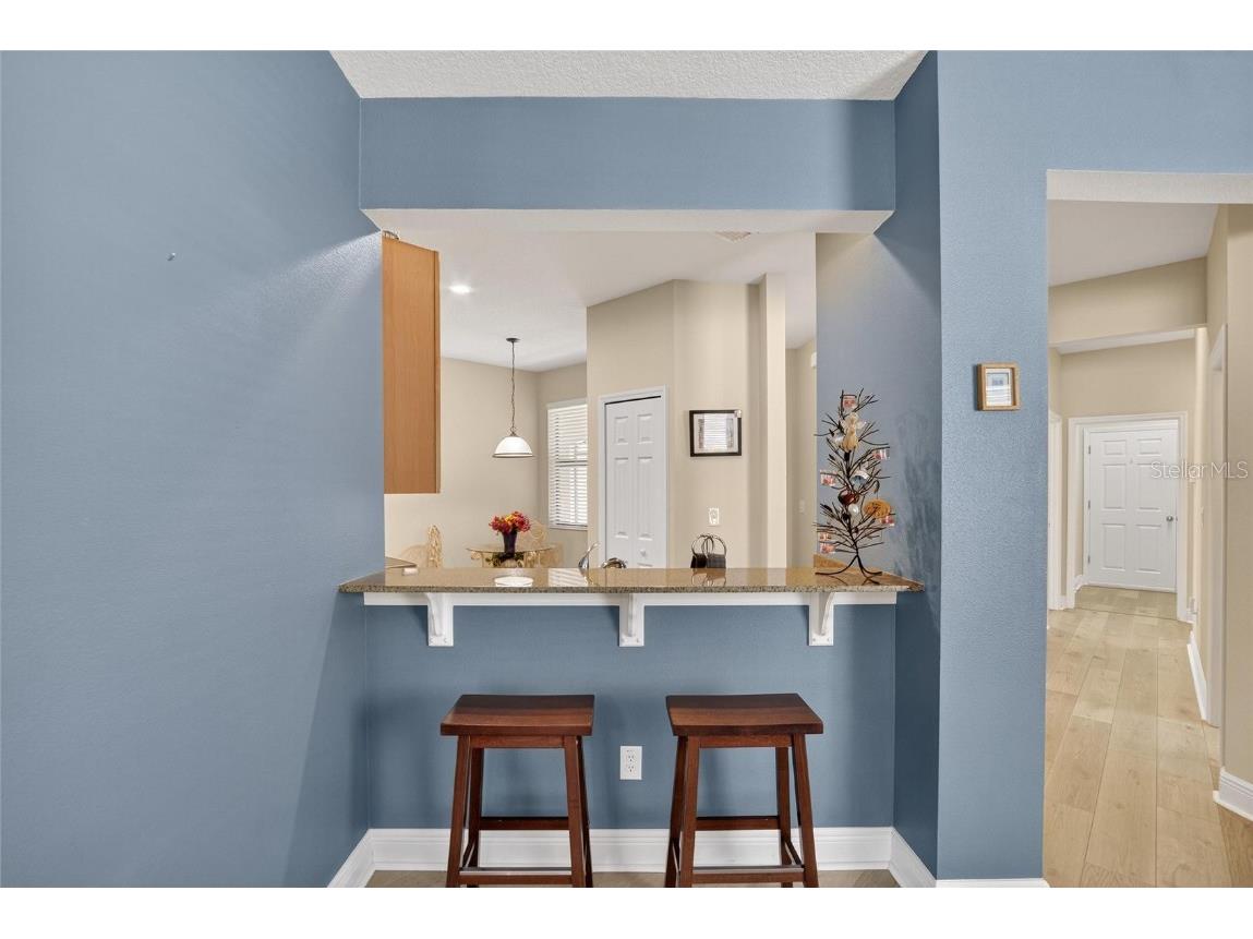 307 Bluewater Falls Court Apollo Beach FL 33572 TB8432955 image16