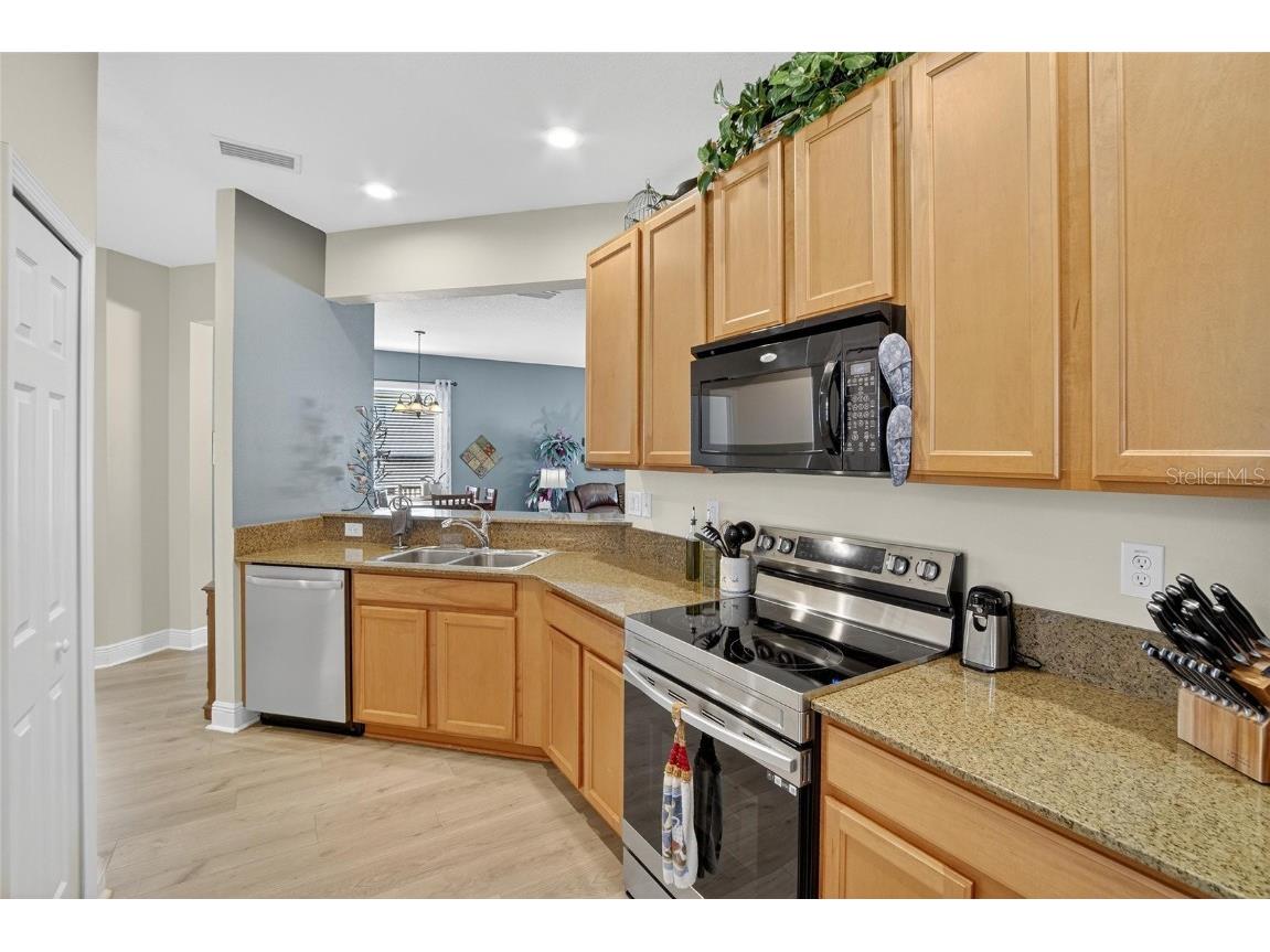 307 Bluewater Falls Court Apollo Beach FL 33572 TB8432955 image18