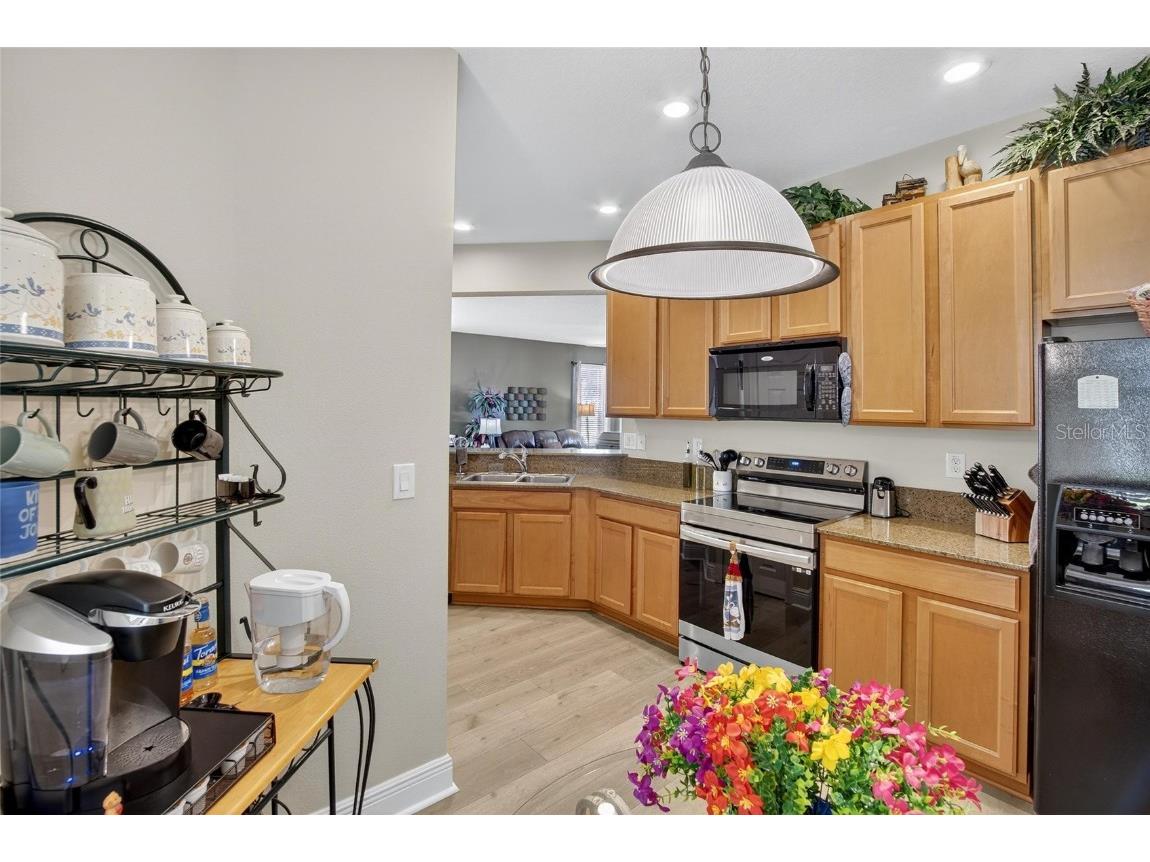 307 Bluewater Falls Court Apollo Beach FL 33572 TB8432955 image19