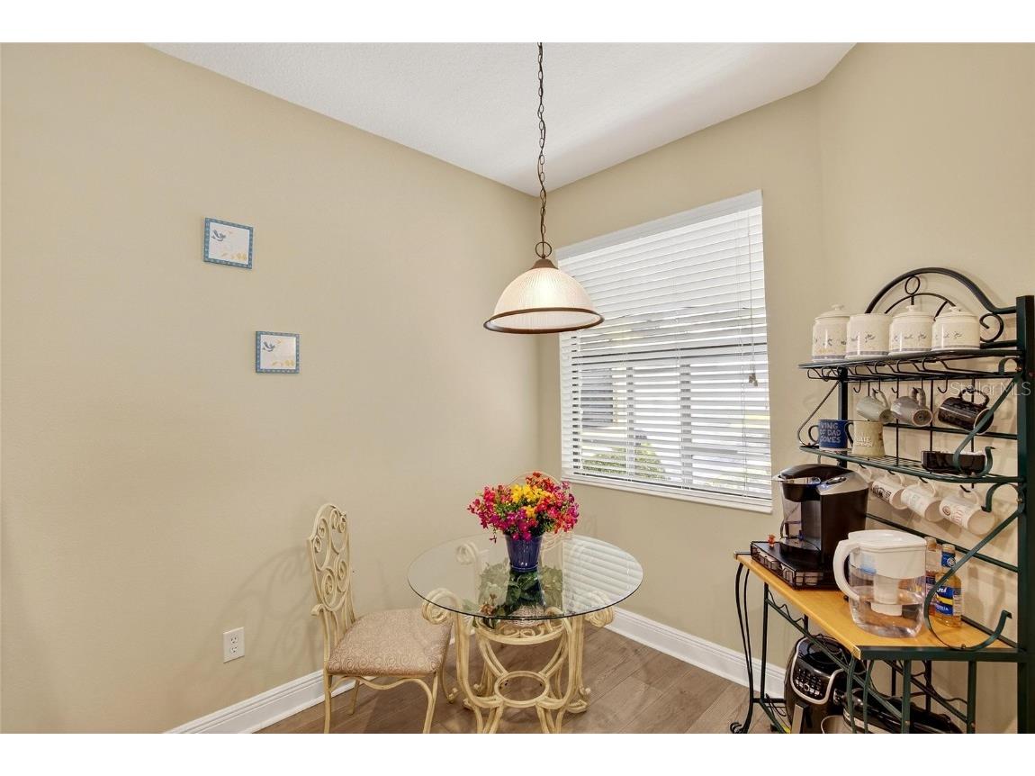 307 Bluewater Falls Court Apollo Beach FL 33572 TB8432955 image21