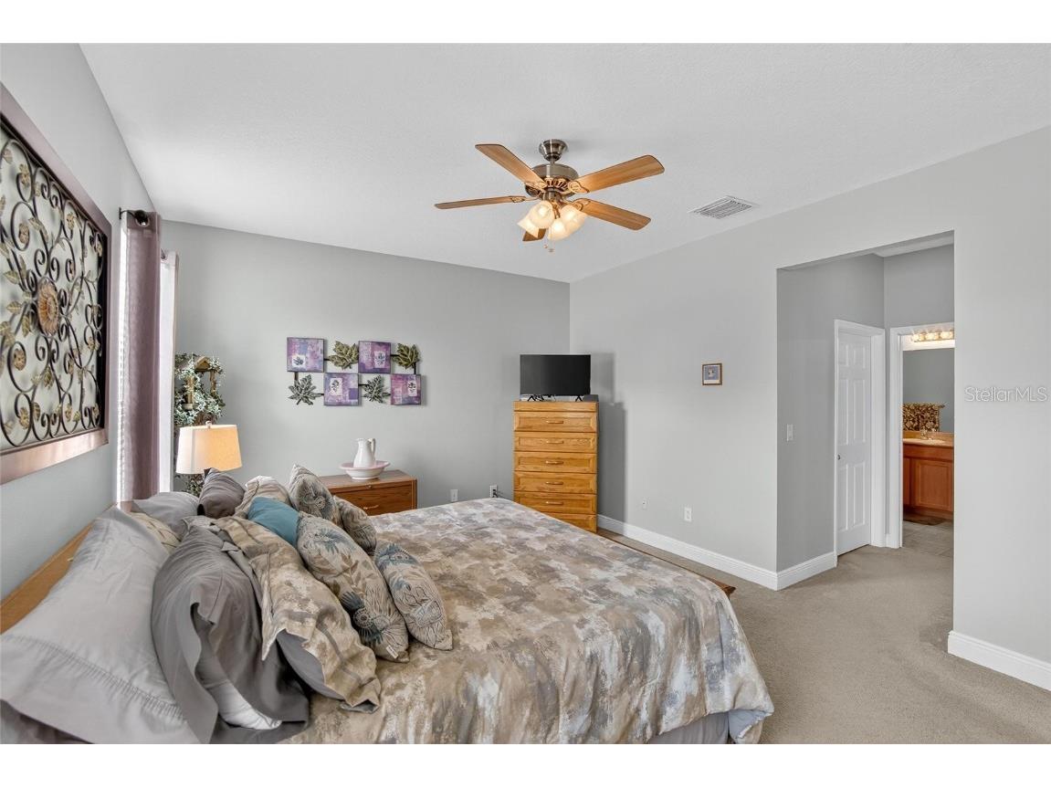 307 Bluewater Falls Court Apollo Beach FL 33572 TB8432955 image23