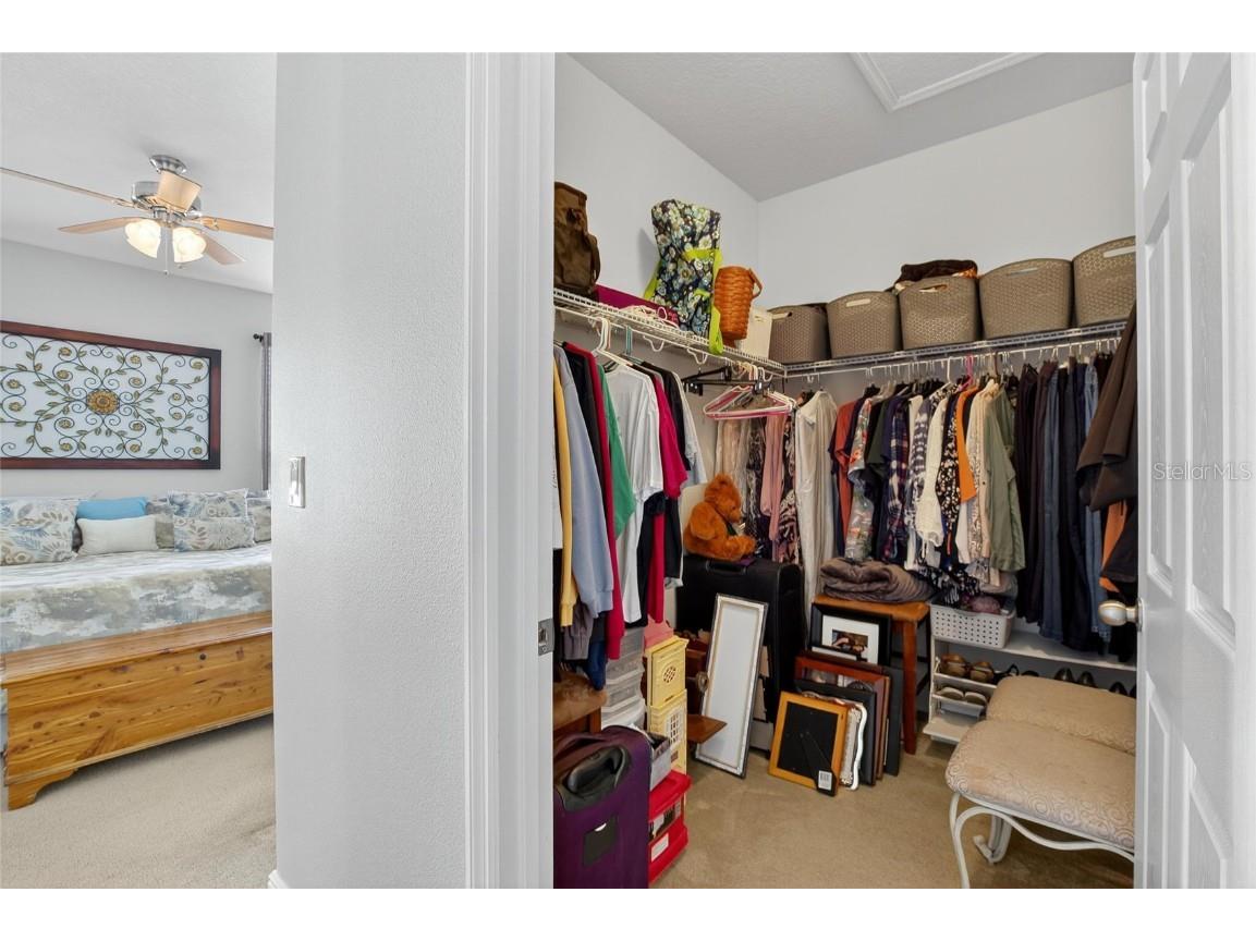 307 Bluewater Falls Court Apollo Beach FL 33572 TB8432955 image27