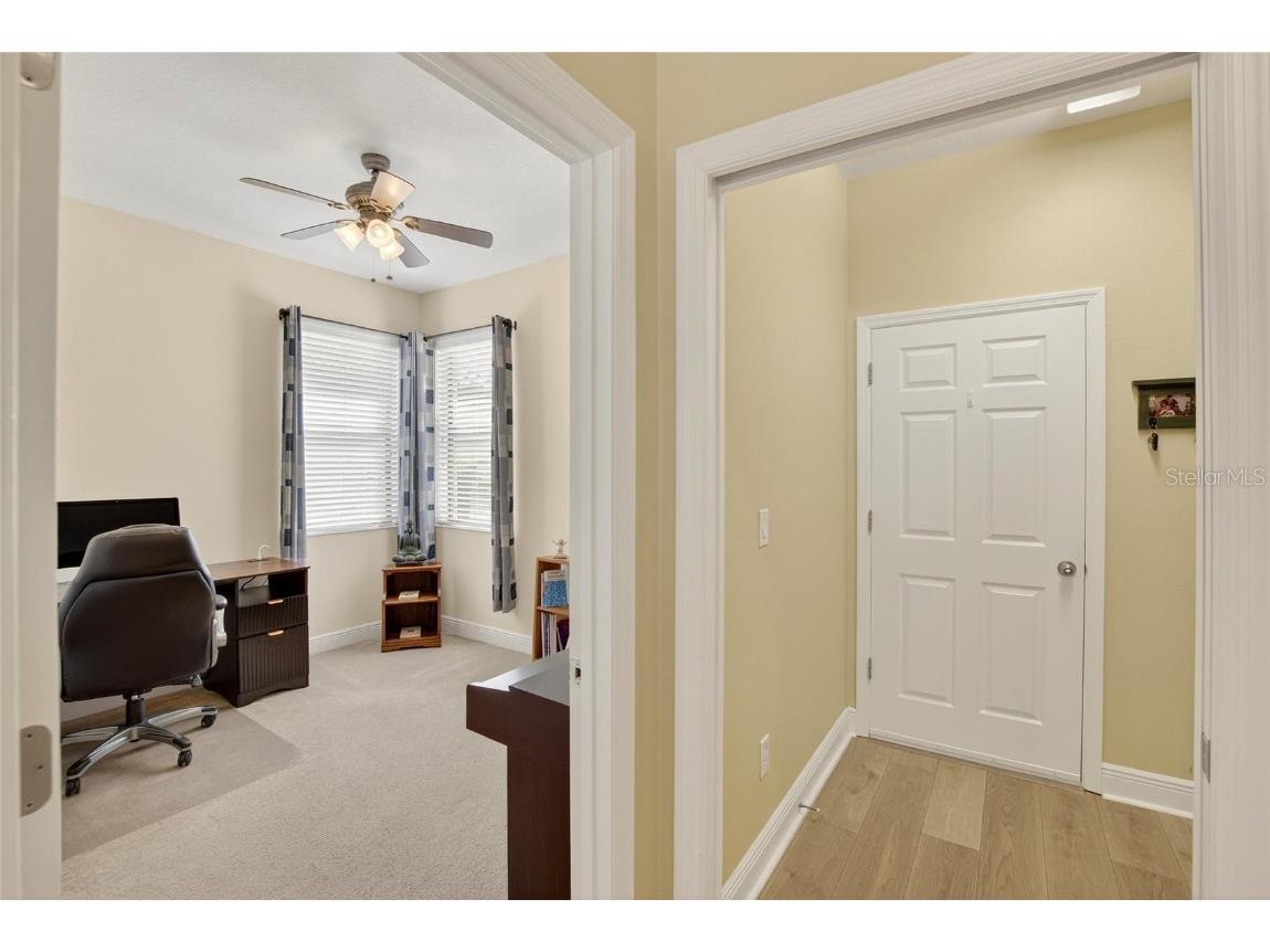 307 Bluewater Falls Court Apollo Beach FL 33572 TB8432955 image33