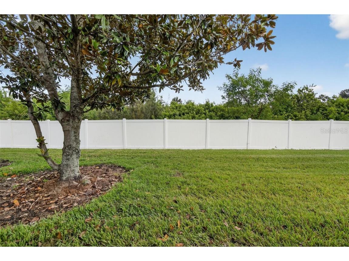 307 Bluewater Falls Court Apollo Beach FL 33572 TB8432955 image41