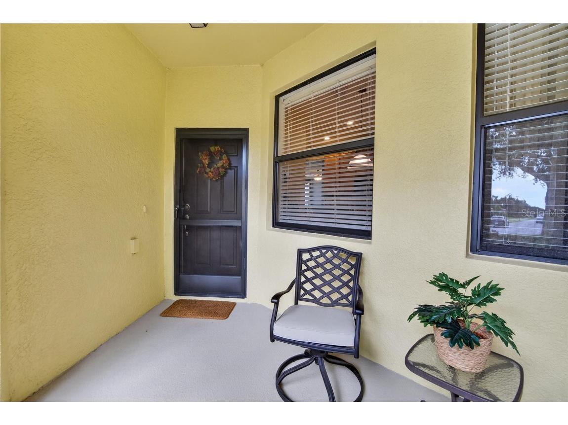 307 Bluewater Falls Court Apollo Beach FL 33572 TB8432955 image7