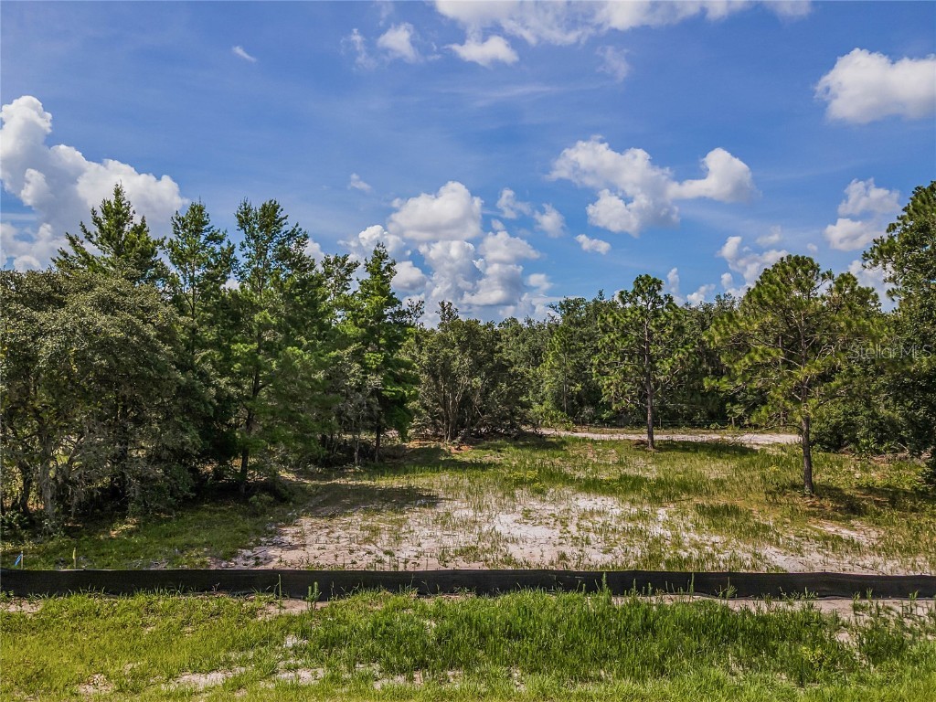 307 Bowfin Court Poinciana FL 34759 O6104782 image1