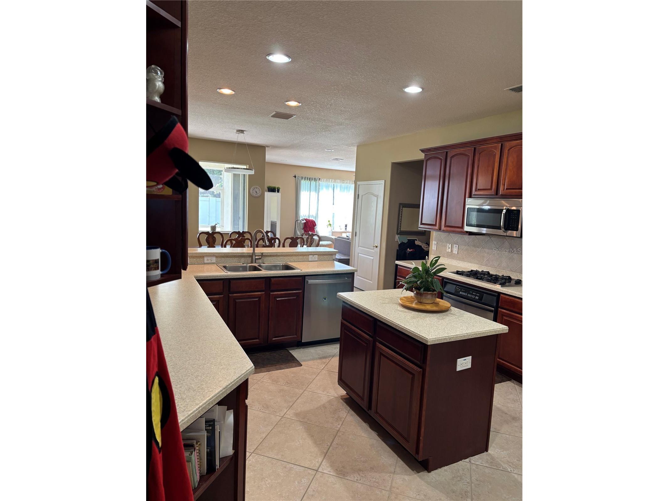 307 Carriage Oak Pl Seffner FL 33584 TB8528583 image5