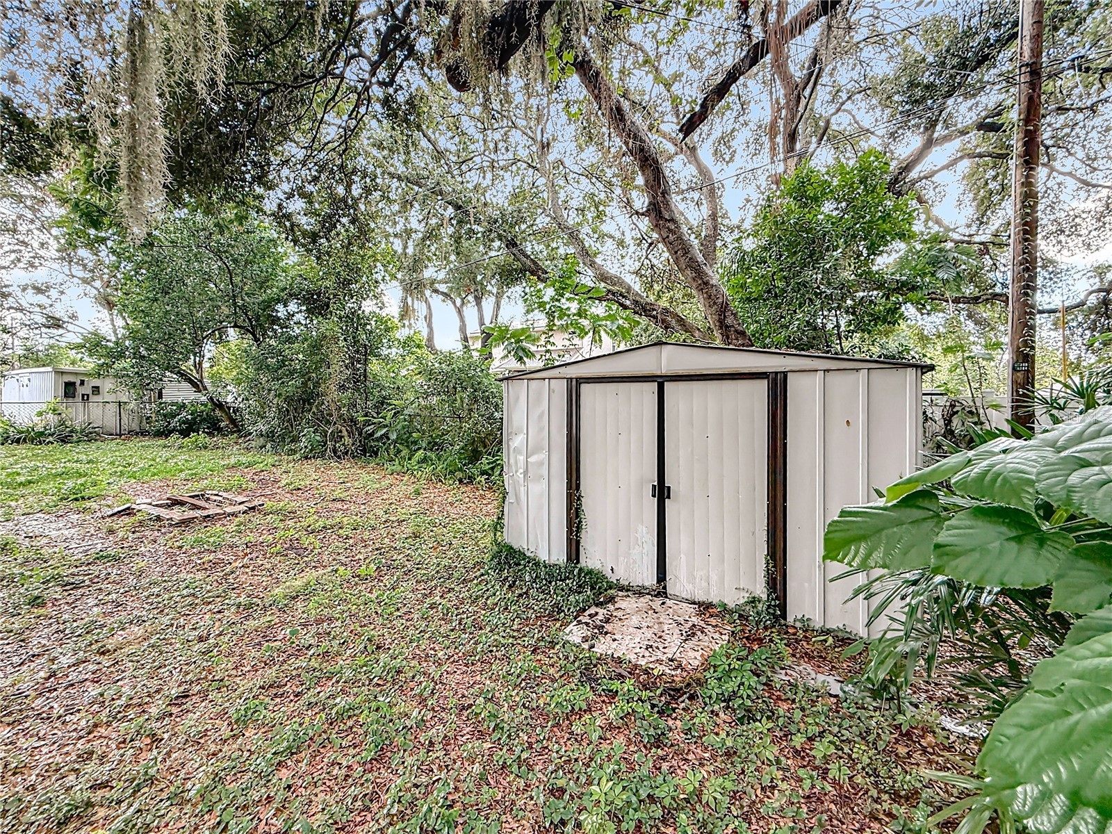 307 Fern Cliff Avenue Temple Terrace FL 33617 TB8397510 image51