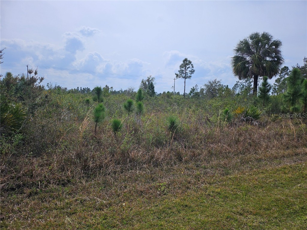 307 Laguna Drive Indian Lake Estates FL 33855 S5100541 image1