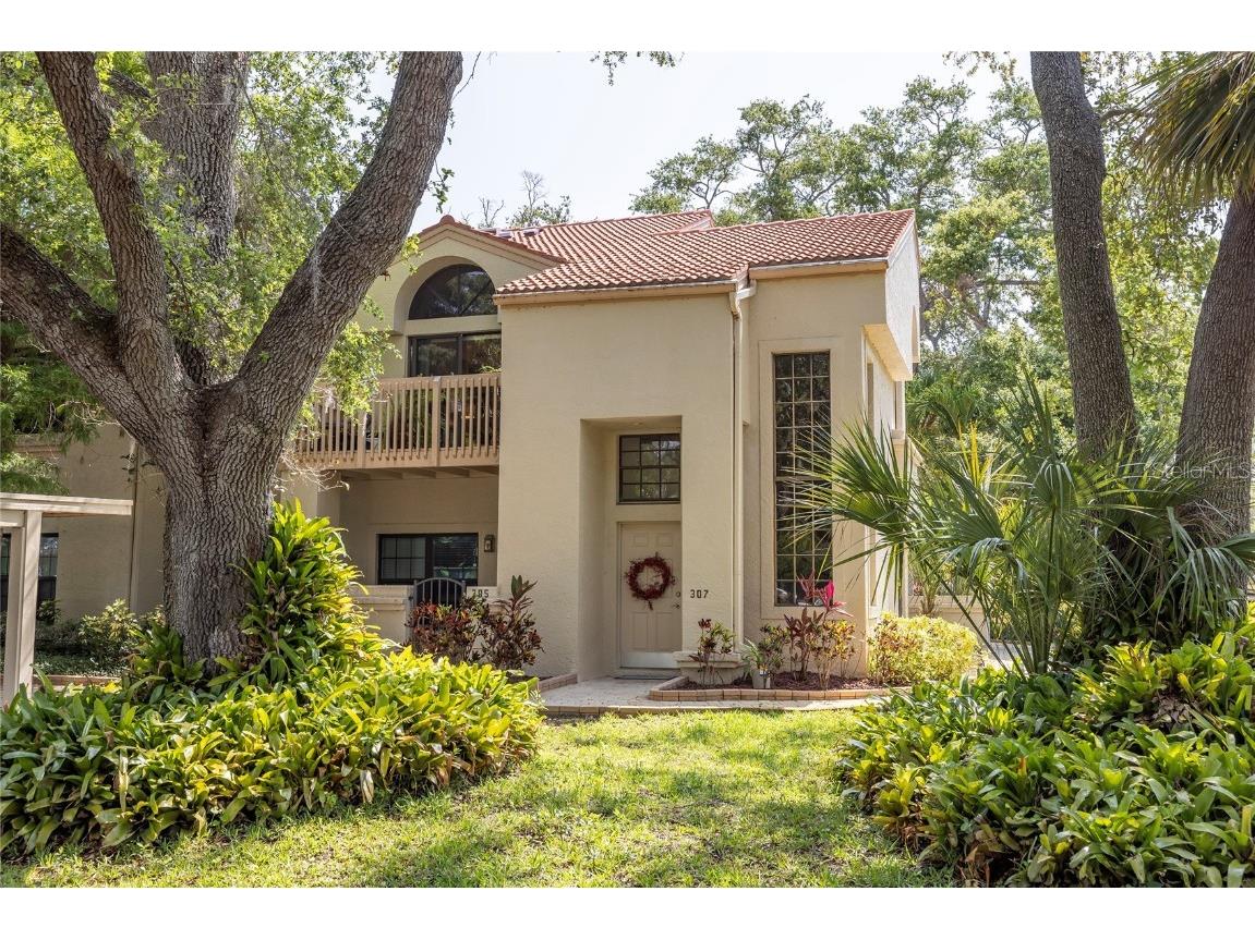 307 Los Prados Drive #307 Safety Harbor FL 34695 TB8384563 image1