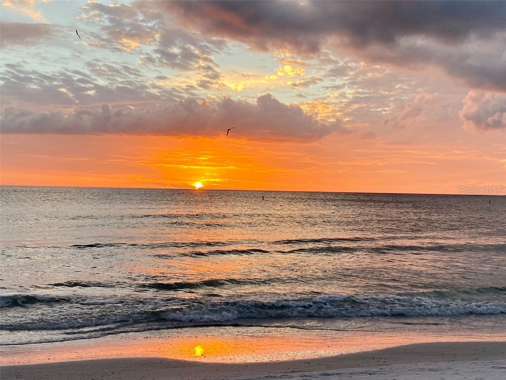 307 Madeira Circle Tierra Verde FL 33715 - BOCA CIEGA BAY TB8416100 image57