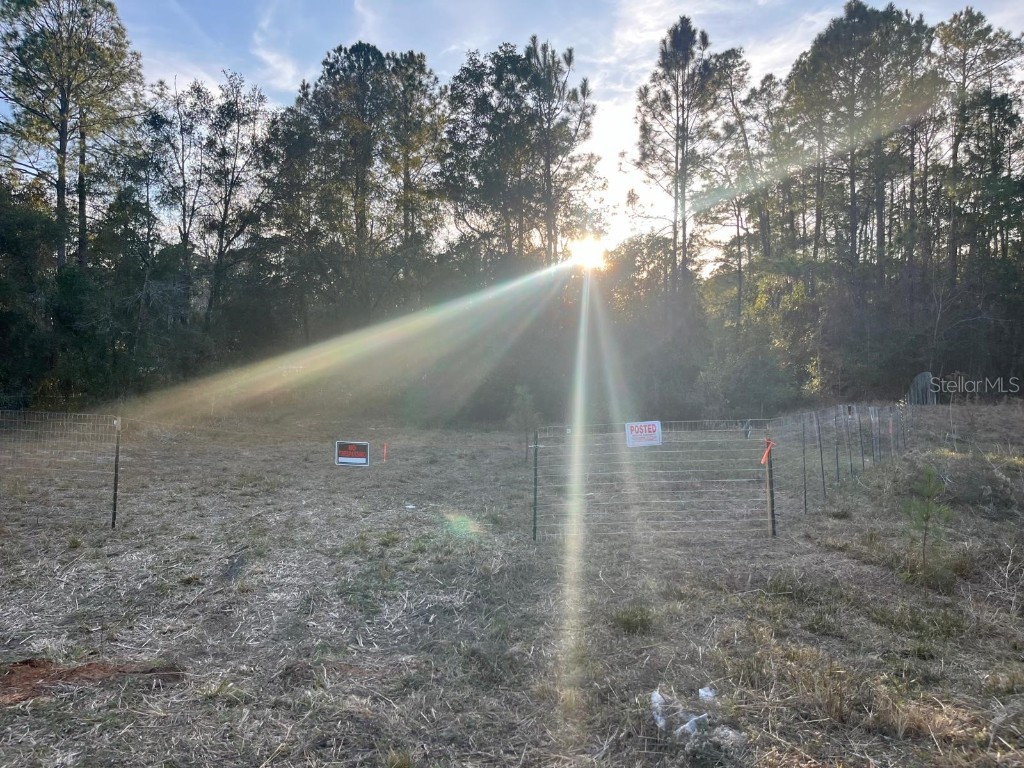 307 Mallard Road Satsuma FL 32189 O6329039 image1