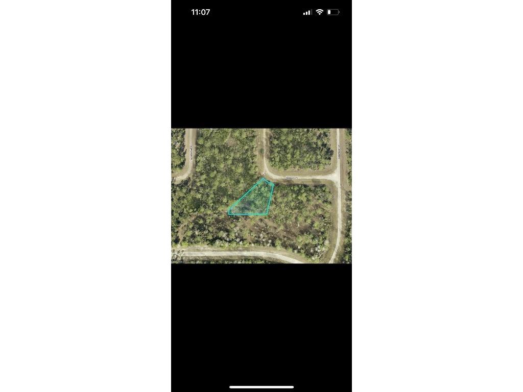 307 Nagle Court Lehigh Acres FL 33972 TB8428494 image1