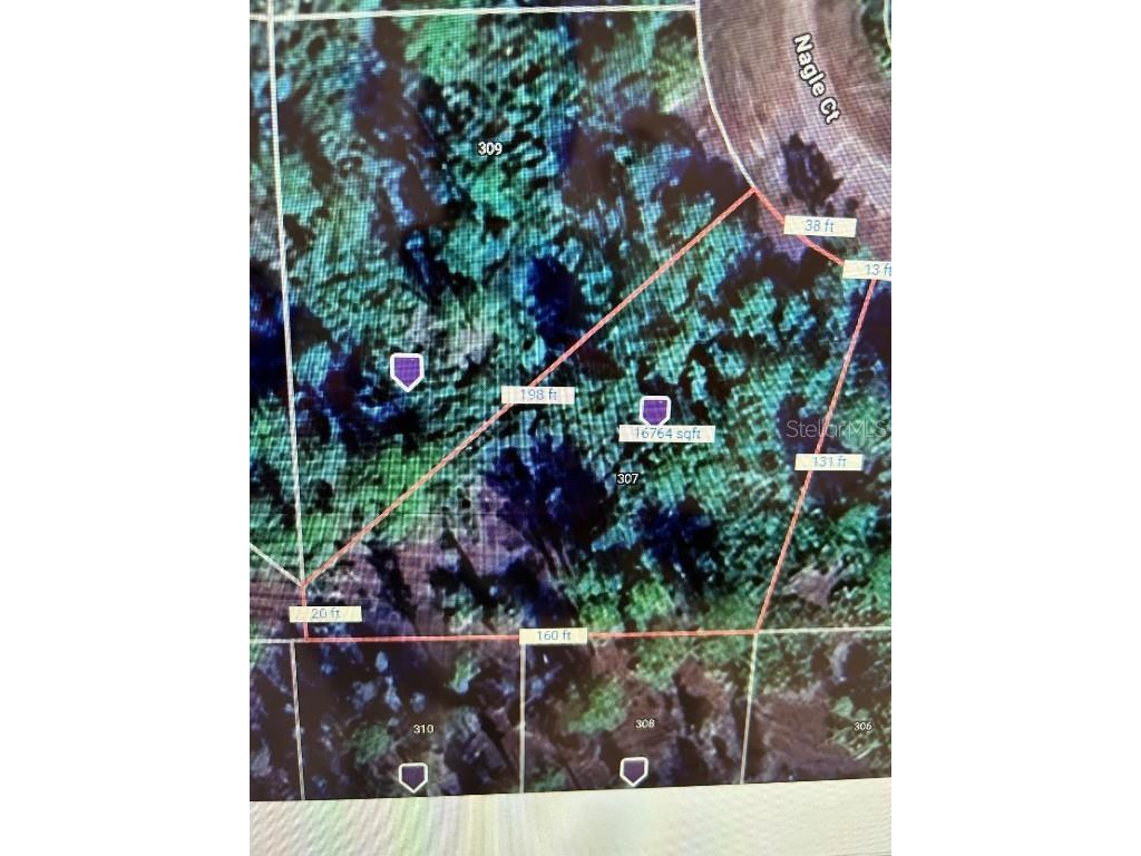 307 Nagle Court Lehigh Acres FL 33972 TB8428494 image4