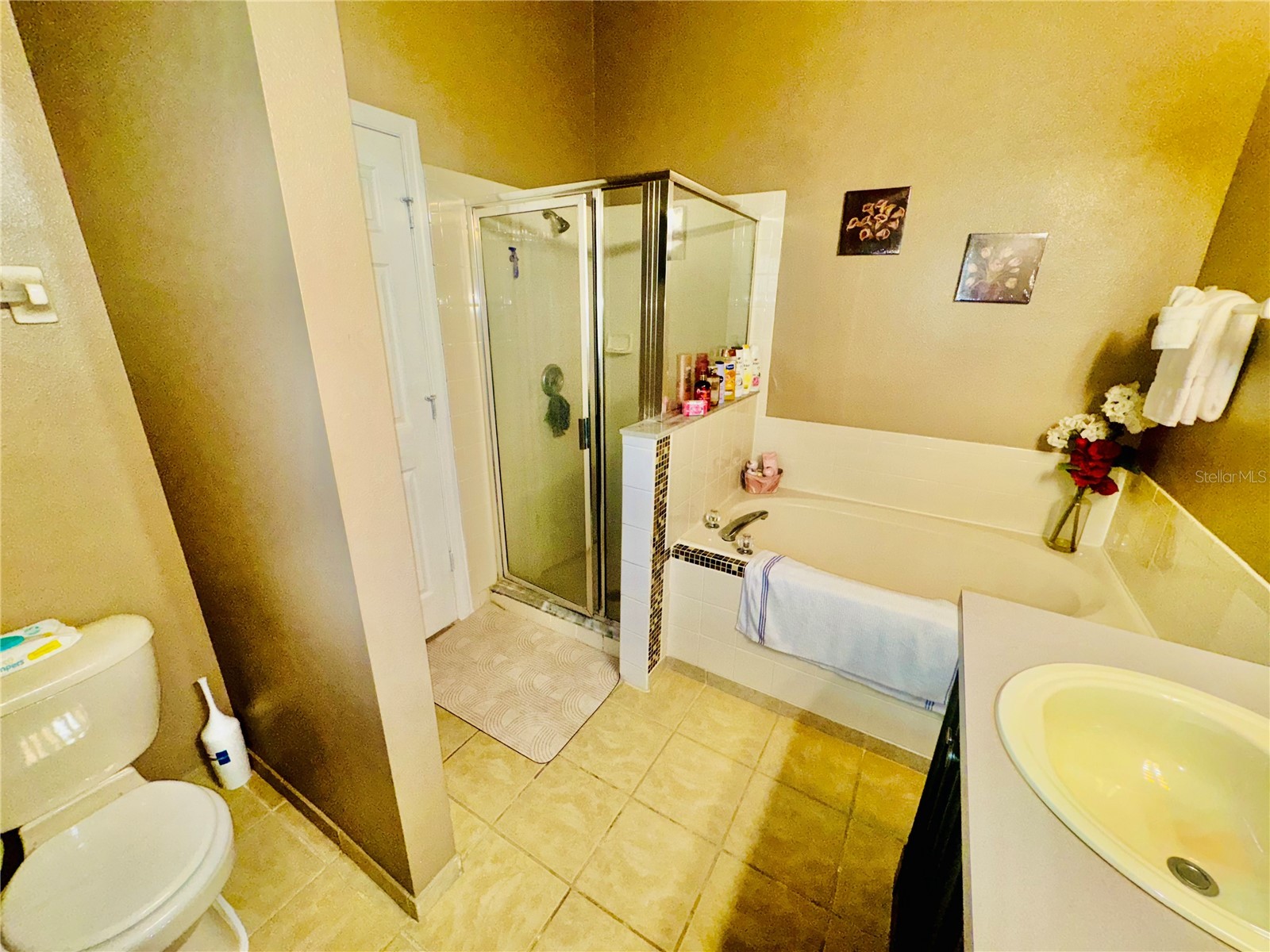 307 Nicholson Drive Davenport FL 33837 S5138086 image18