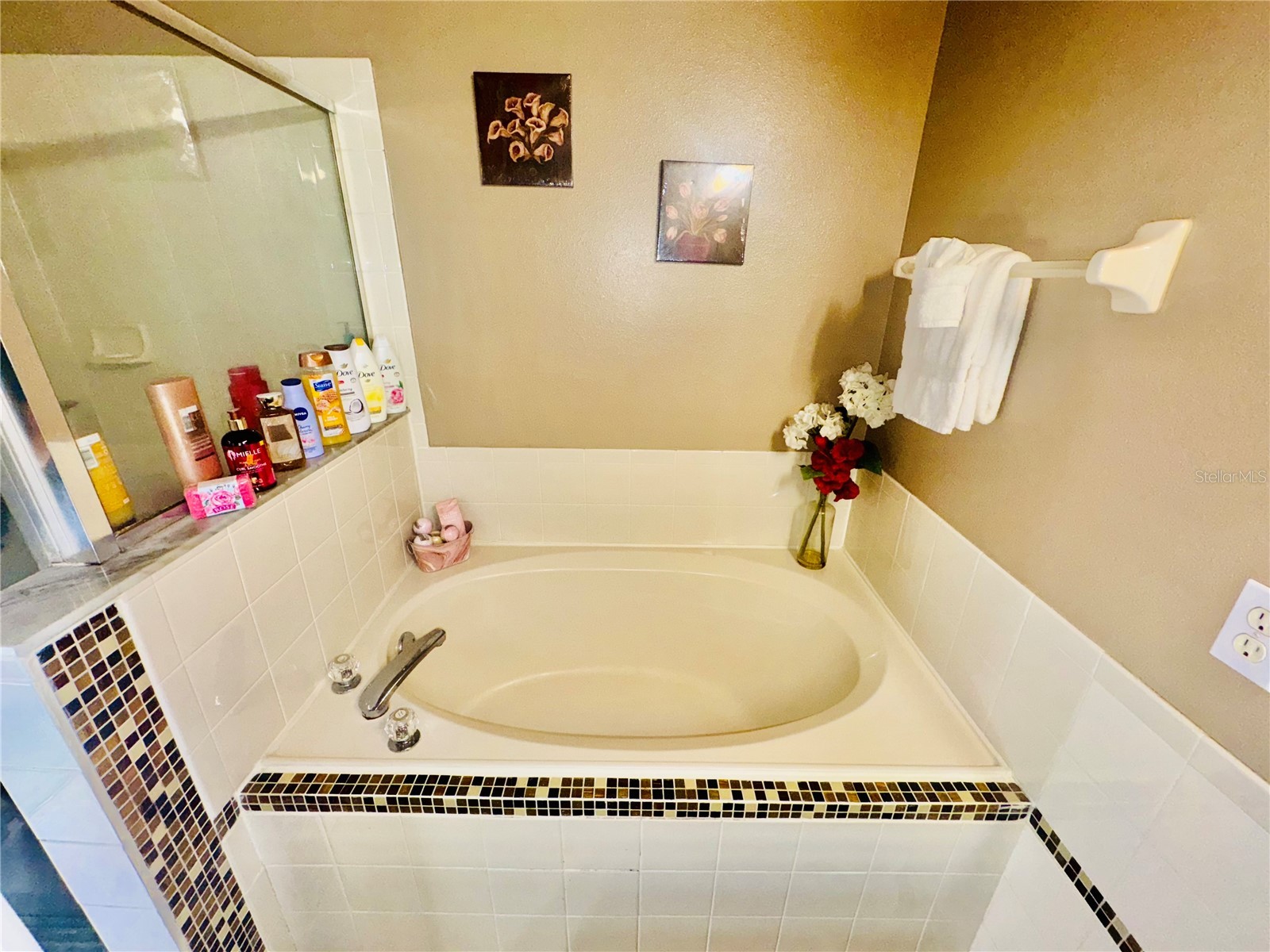 307 Nicholson Drive Davenport FL 33837 S5138086 image19