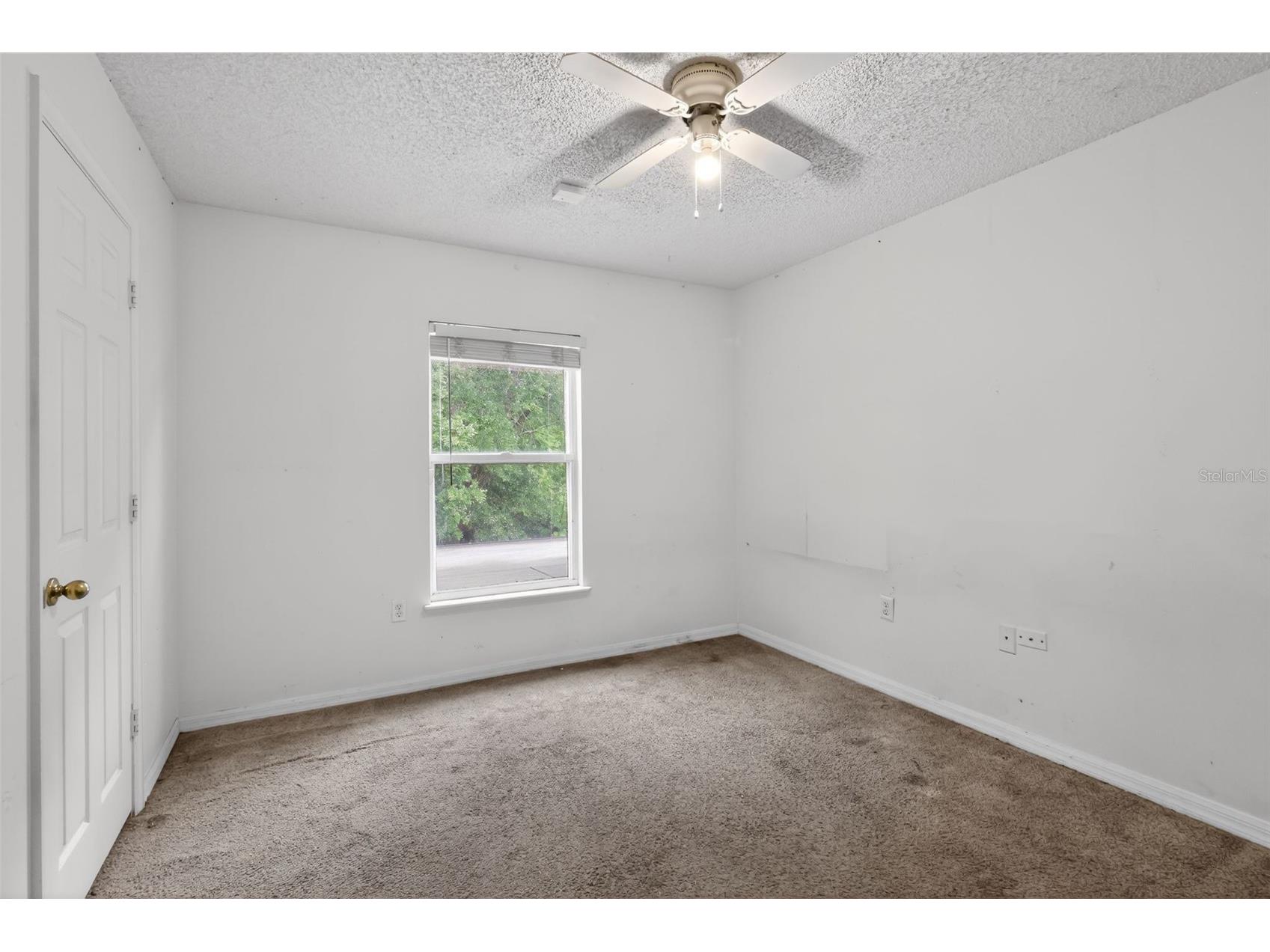 307 Pleasant Gardens Drive Apopka FL 32703 O6398242 image23