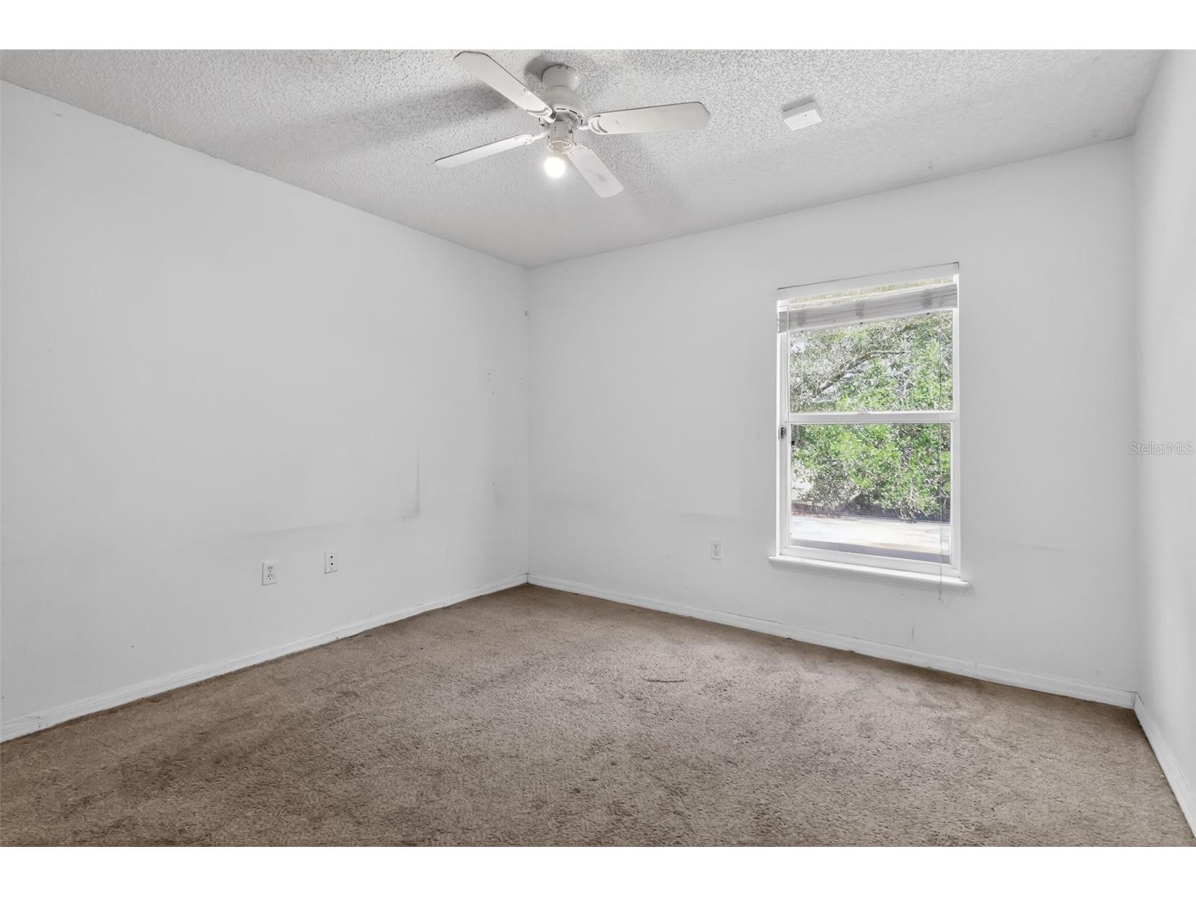 307 Pleasant Gardens Drive Apopka FL 32703 O6398242 image29