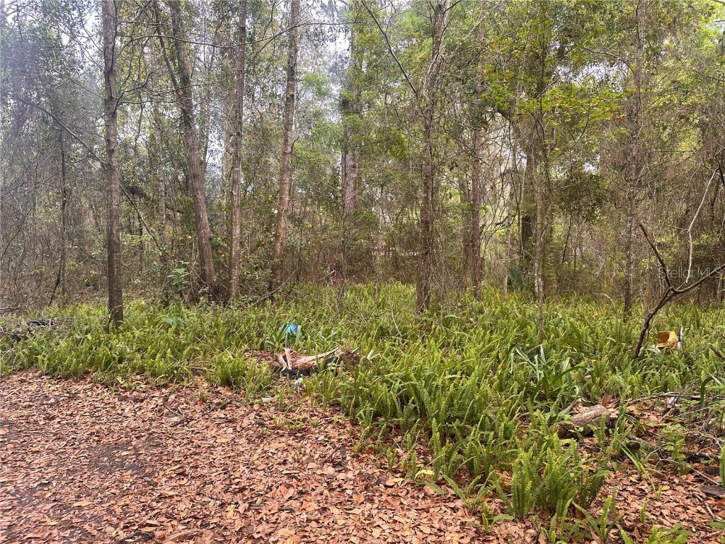 307 SE 20th Street Gainesville FL 32641 GC520055 image1