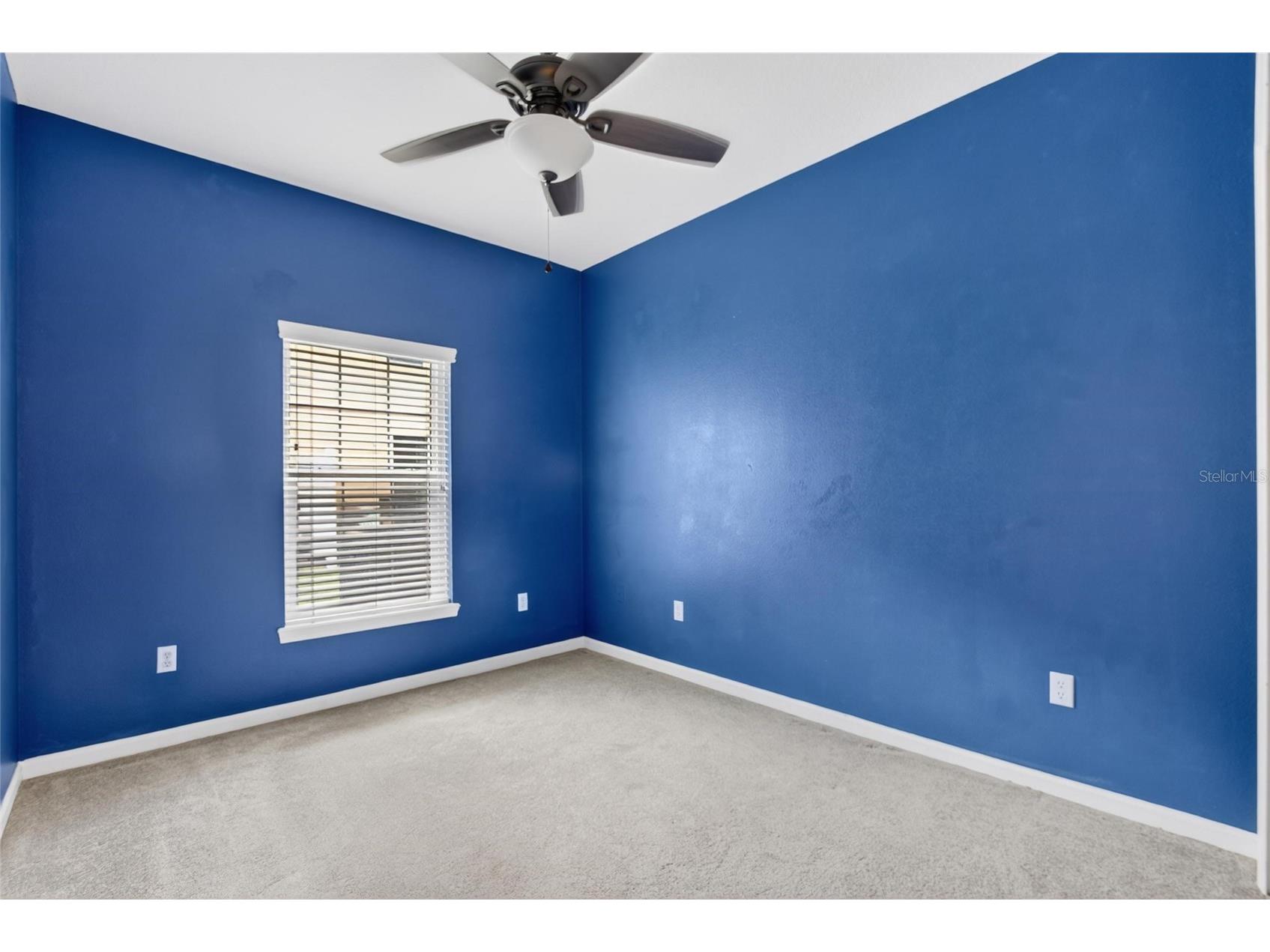307 Summer Clouds Place Brandon FL 33511 TB8513458 image18