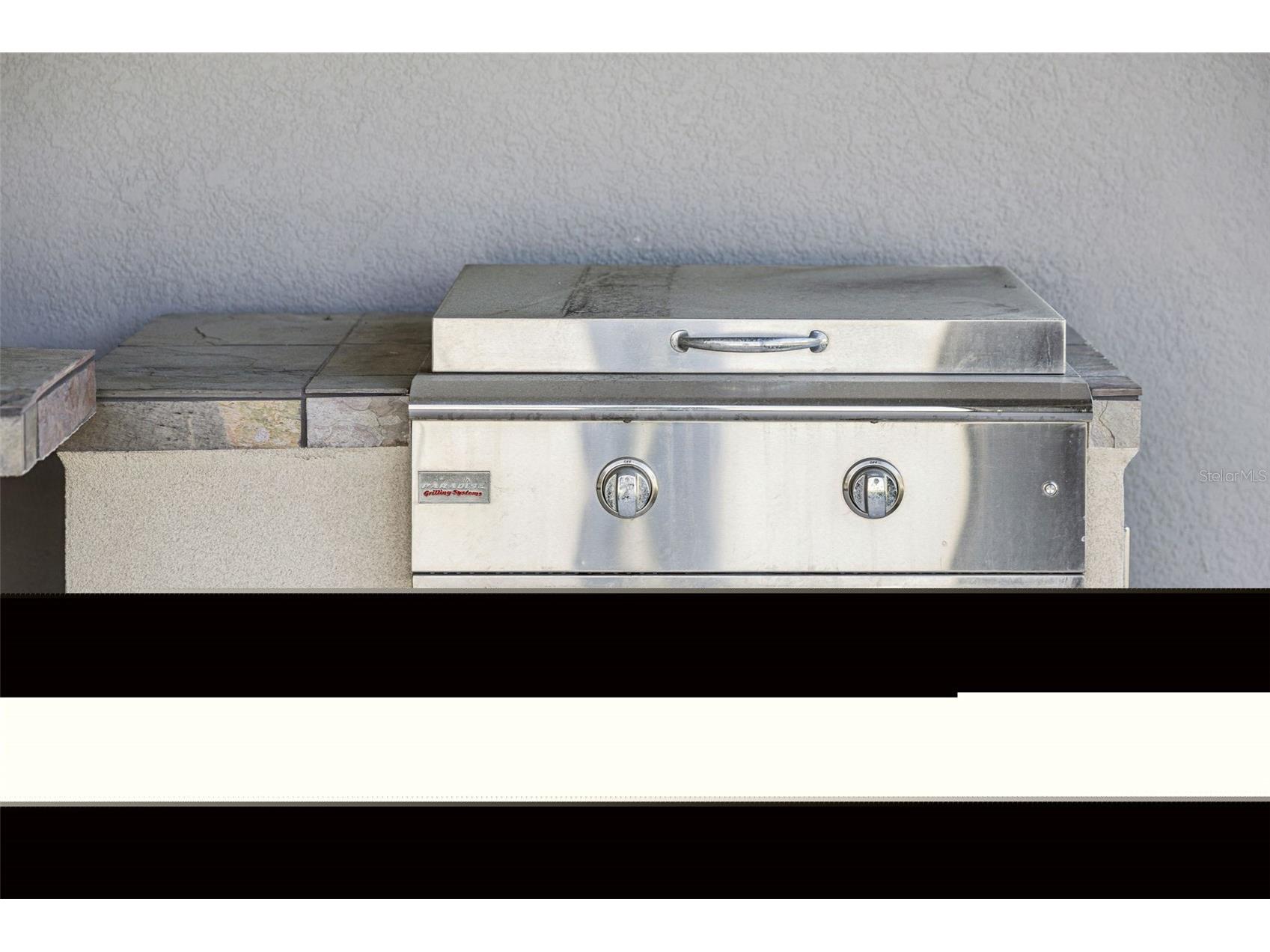 307 Terracotta Terrace Howey In The Hills FL 34737 O6390970 image32