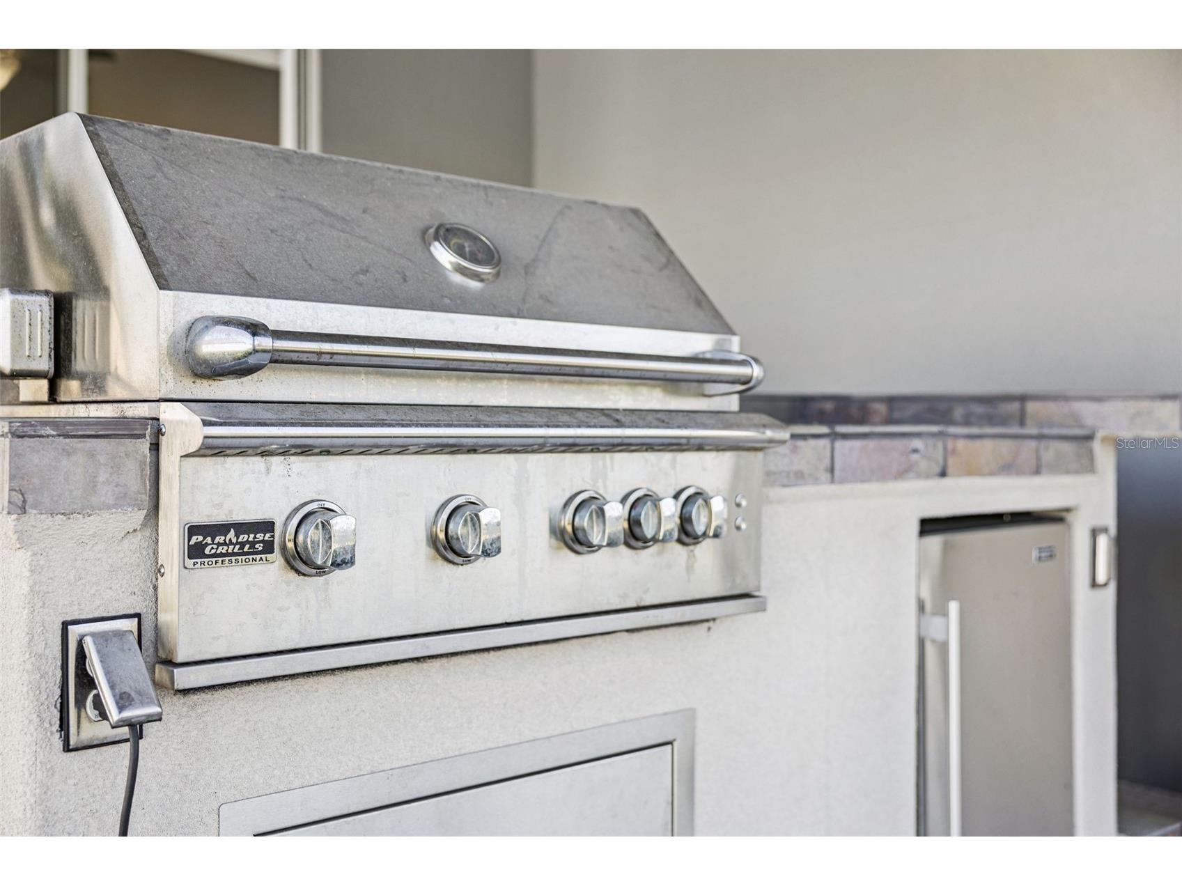 307 Terracotta Terrace Howey In The Hills FL 34737 O6390970 image33