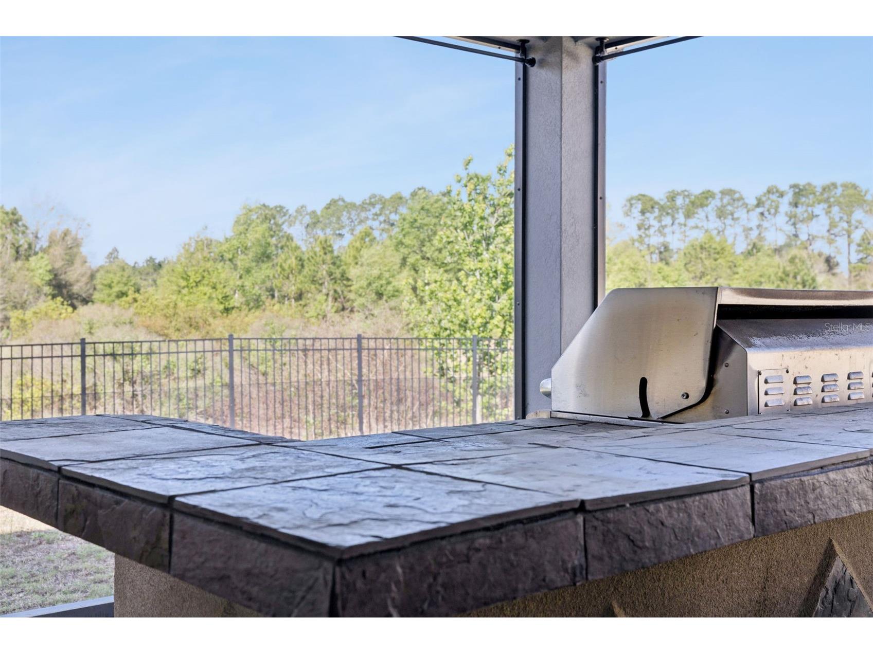 307 Terracotta Terrace Howey In The Hills FL 34737 O6390970 image34