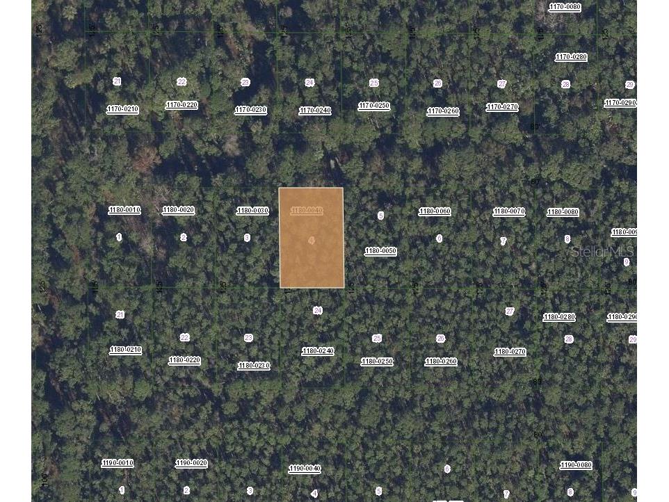 307 Tropical Drive Georgetown FL 32139 OK225582 image1