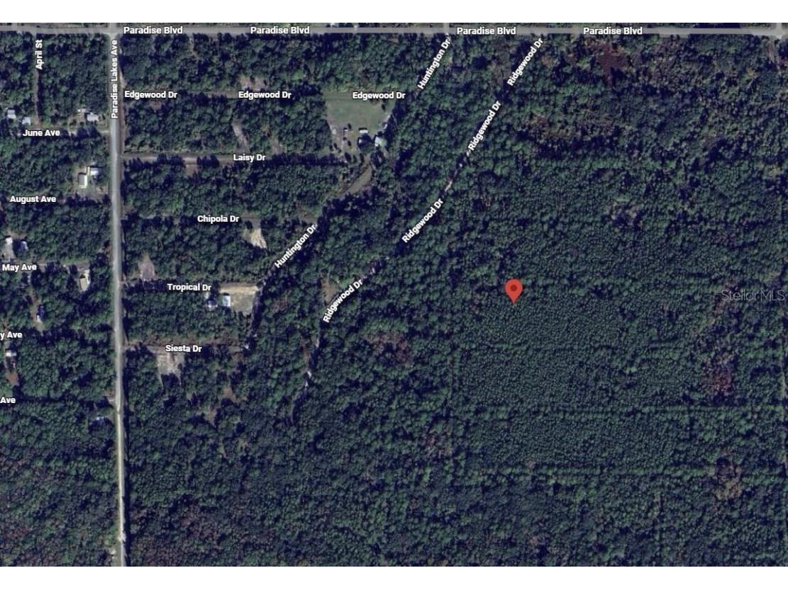 307 Tropical Drive Georgetown FL 32139 OK225582 image2