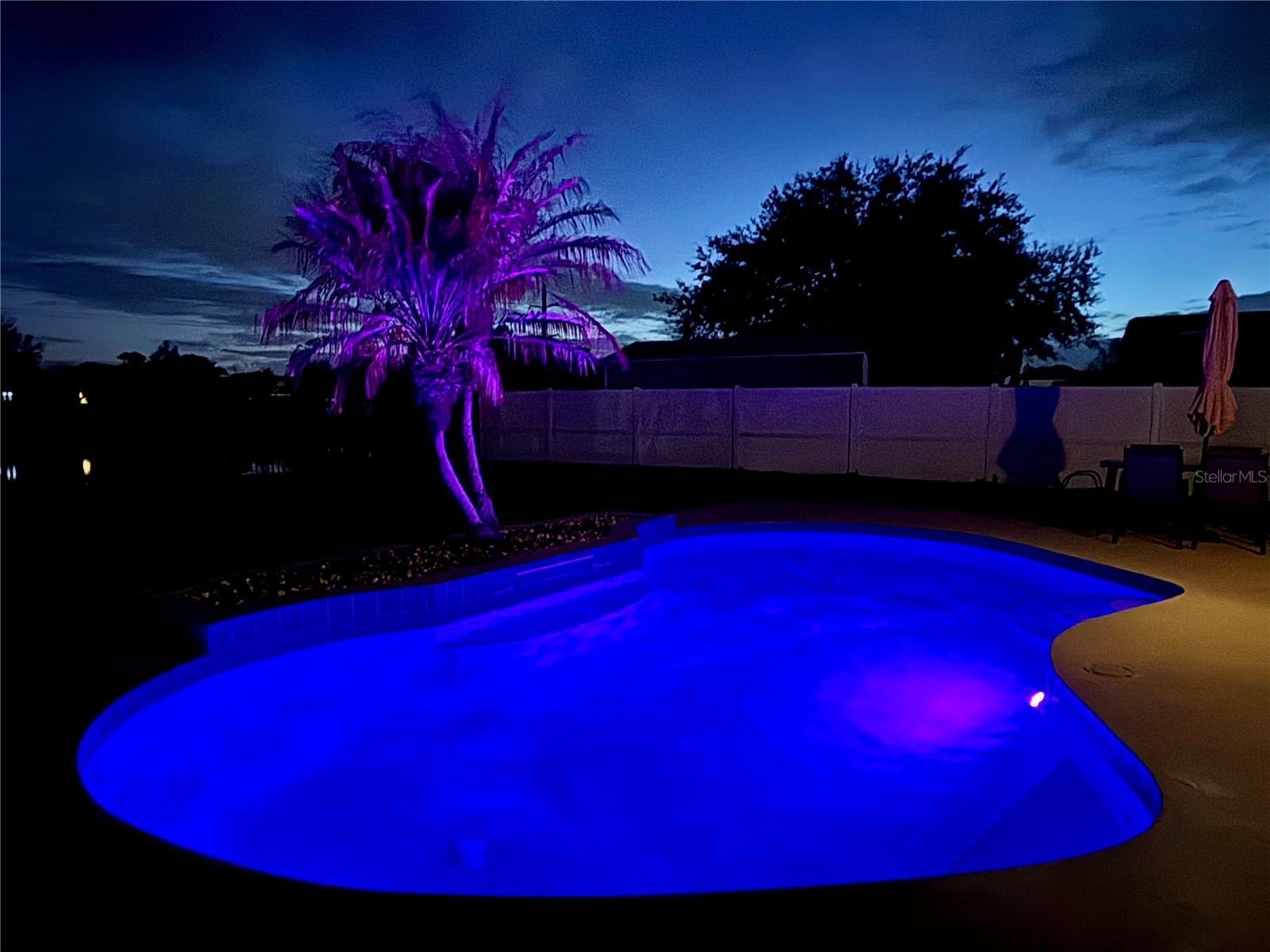 307 Velveteen Place Chuluota FL 32766 O6389128 image31