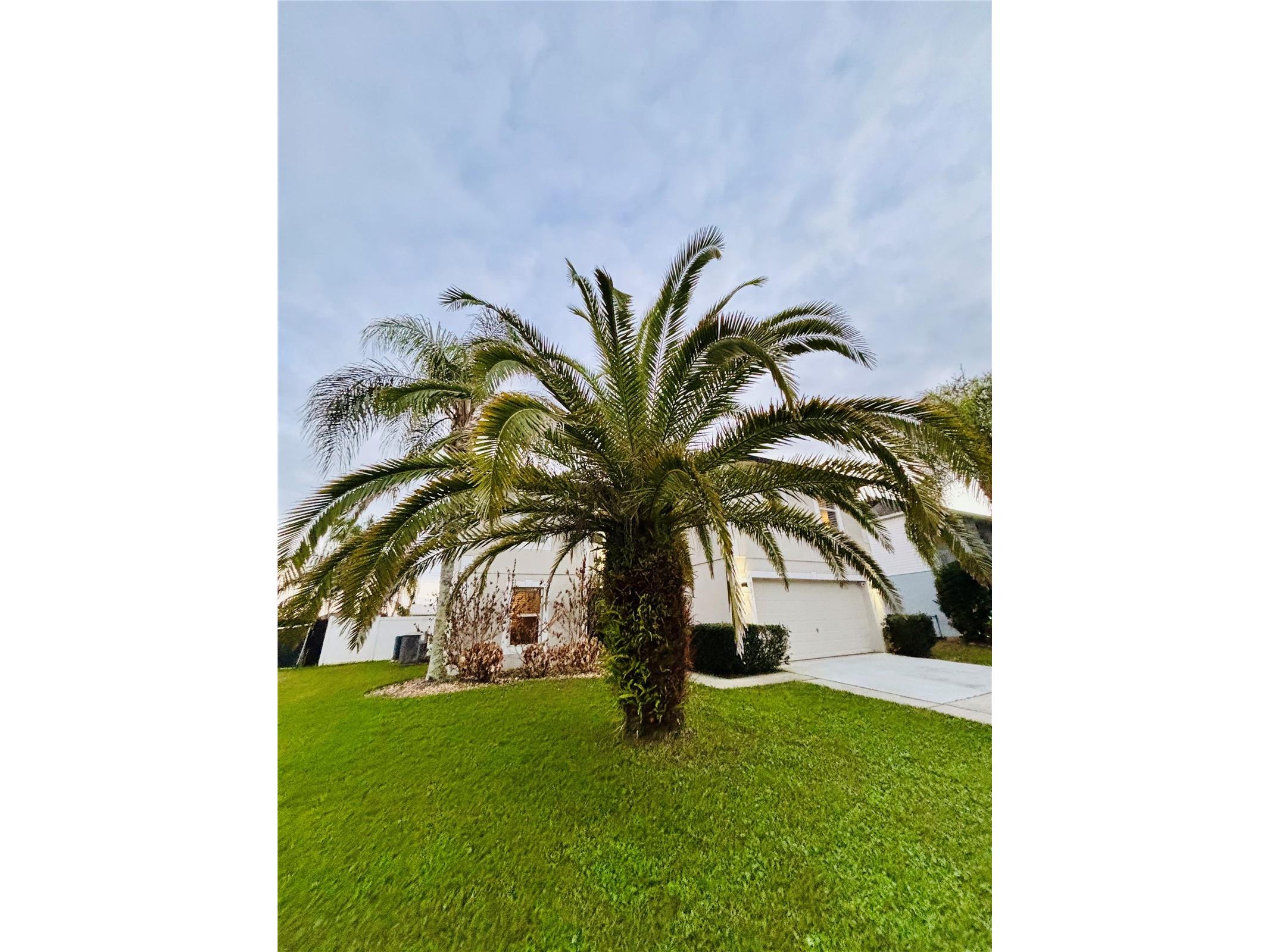 307 Velveteen Place Chuluota FL 32766 O6389128 image34