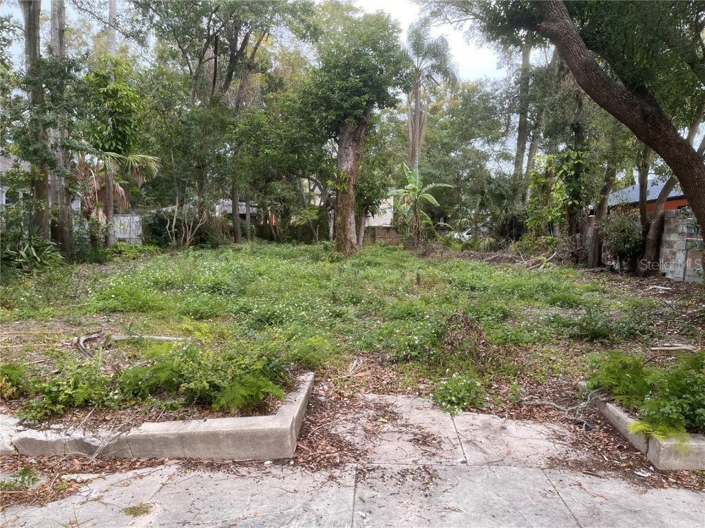 307 W West Street Tampa FL 33602 T3493484 image1