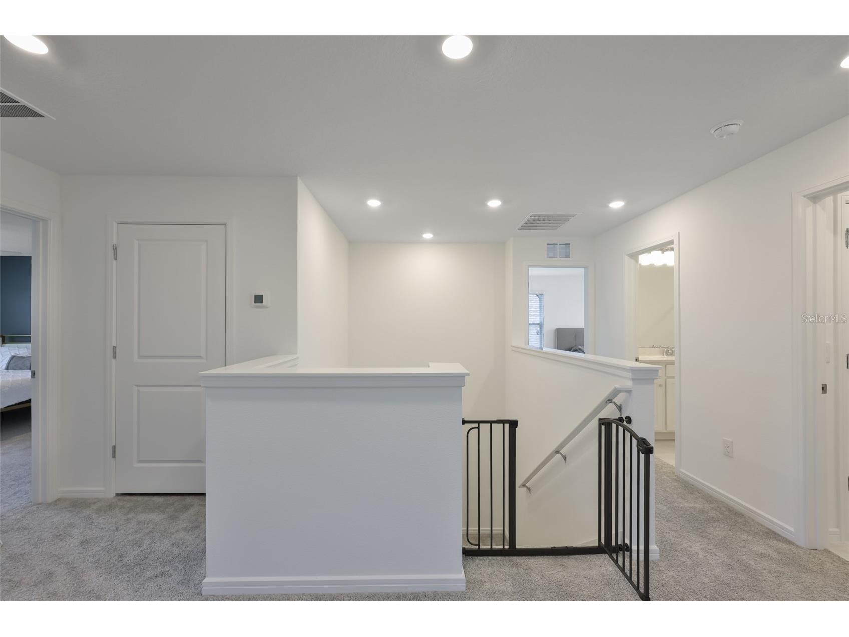 3070 Forest Meadow Avenue Valrico FL 33594 TB8500308 image34