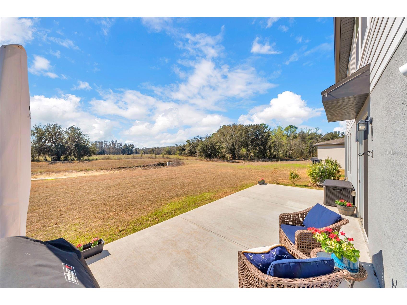 3070 Forrest Plum Court Zephyrhills FL 33540 TB8481150 image42