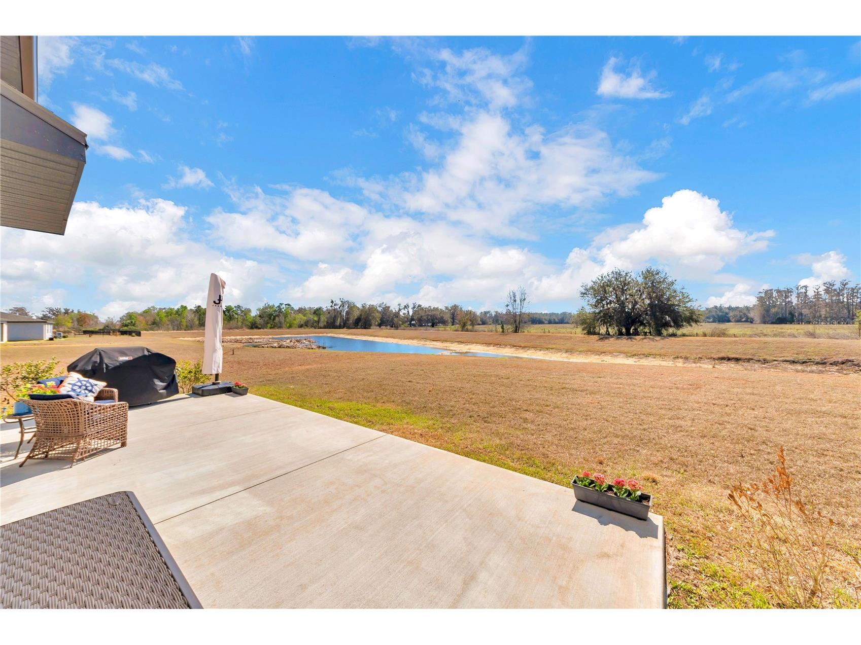 3070 Forrest Plum Court Zephyrhills FL 33540 TB8481150 image43